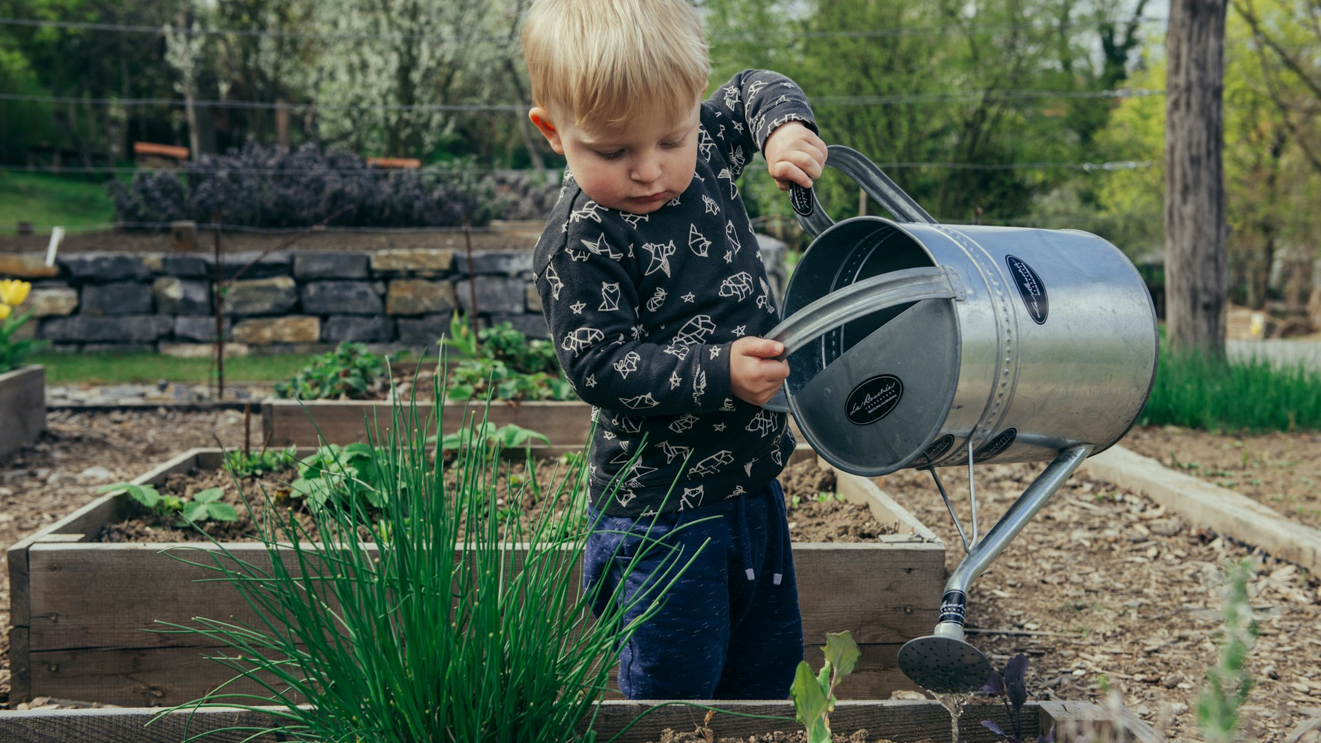 Een kind met blond haar giet water uit een zinken gieter op planten in een verhoogd tuinbed.