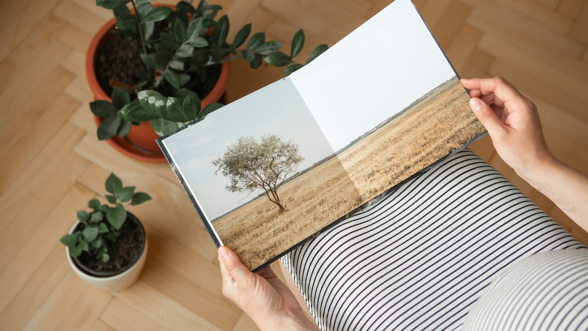 Persoon leest een tijdschrift met een afbeelding van een eenzame boom in een droog landschap, terwijl ze op een gestreepte jurk zitten en omringd worden door kamerplanten in potten.