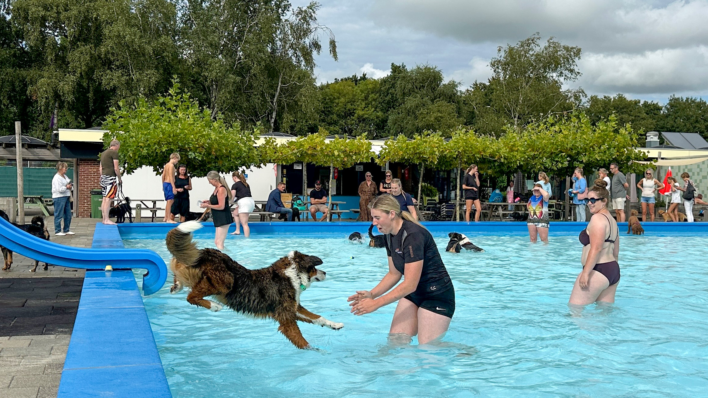 Mensen en honden spelen samen in een buitenzwembad op een zonnige dag, met een blauwe glijbaan aan de zijkant en omringd door bomen en toeschouwers.