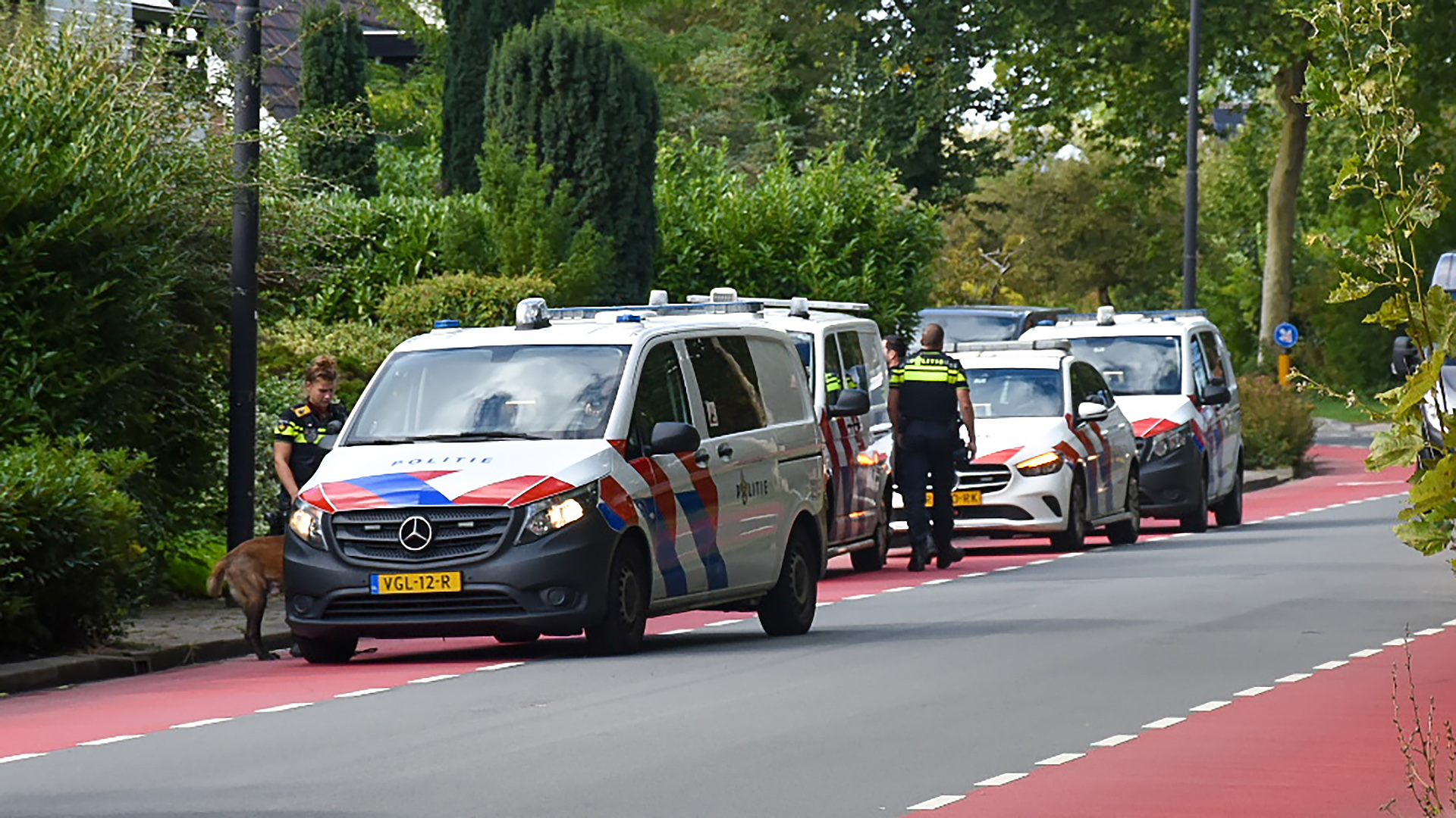 Politievoertuigen en agenten op een weg omgeven door begroeiing, met een hond en enkele politieauto's geparkeerd op het fietspad.