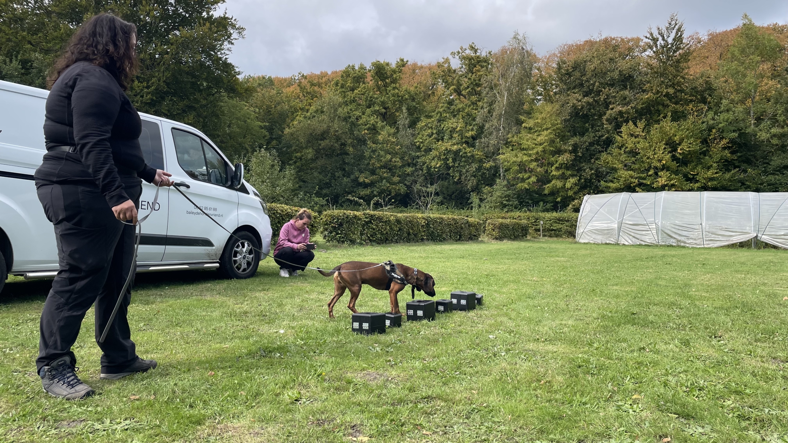 Twee mensen begeleiden een hond met een tuigje over een grasveld langs een rij zwarte dozen, waarschijnlijk als onderdeel van een geurdetectietraining, met een witte bestelwagen en bosjes op de achtergrond.