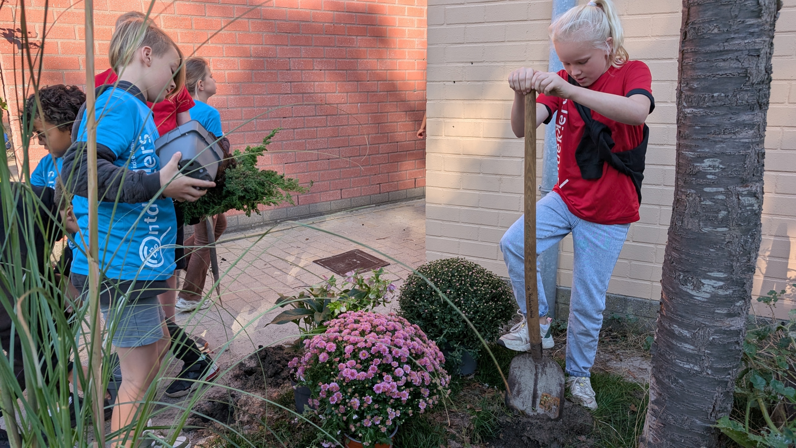 Kinderen planten bloemen in een tuin; een kind graaft met een schep, terwijl anderen klaarstaan met een plant in een pot. Ze staan naast een bakstenen muur en een boomstam.