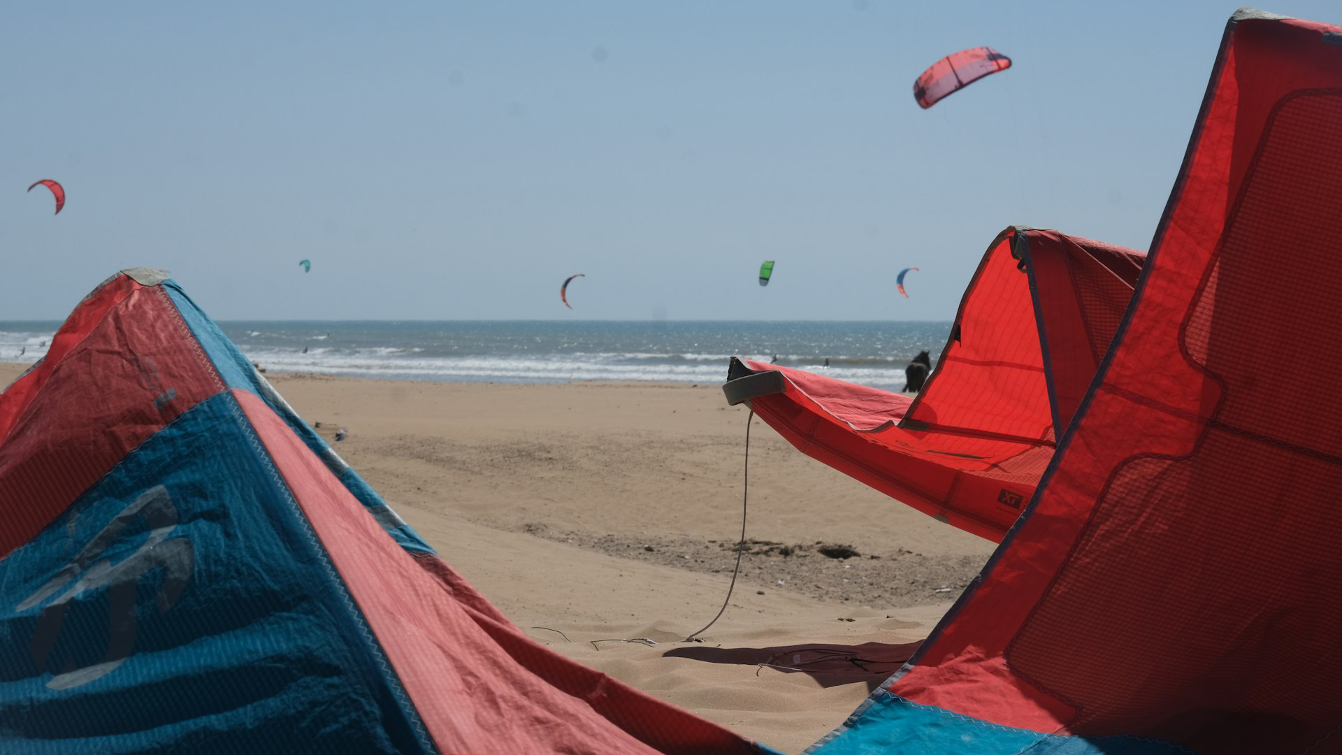 Kitesurfzeilen liggen op een zandstrand met meerdere vliegers in de lucht bij de kustlijn.