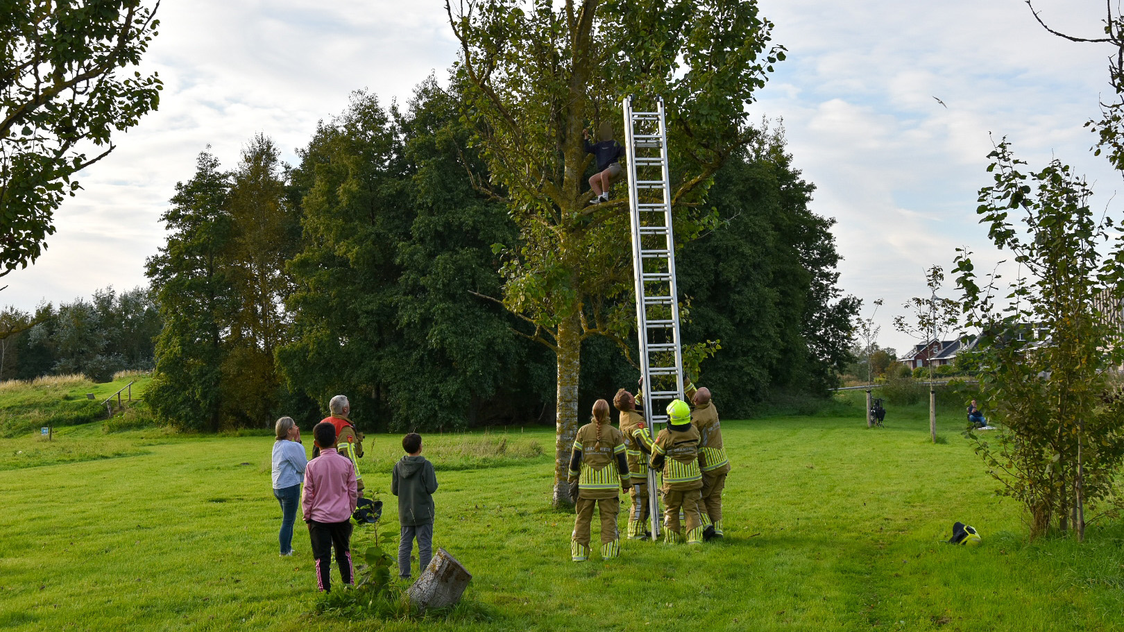 Brandweerlieden helpen een persoon uit een boom met een ladder, terwijl een groep mensen toekijkt in een groene open ruimte met bomen op de achtergrond.