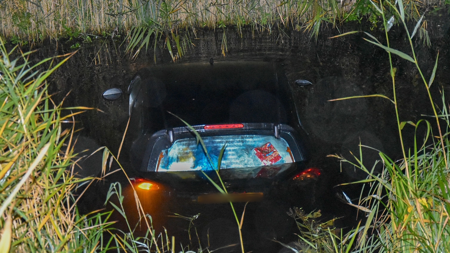 Zwarte auto die deels onder water is geraakt in een sloot, omgeven door hoge gras- en rietplanten.