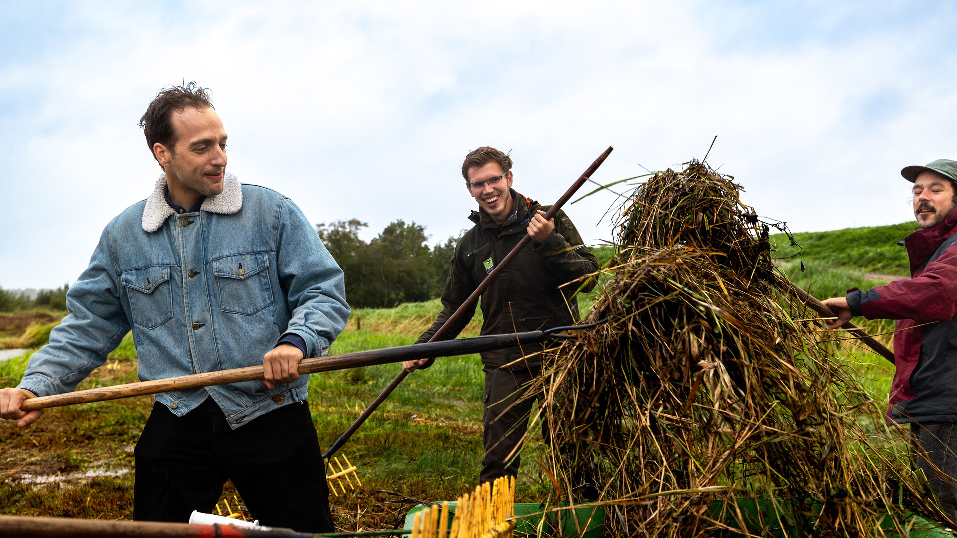 Drie mannen in een weidegebied voeren samen een landbouwtaak uit met rieken, waarbij één ervan een stapel gras en planten vasthoudt.