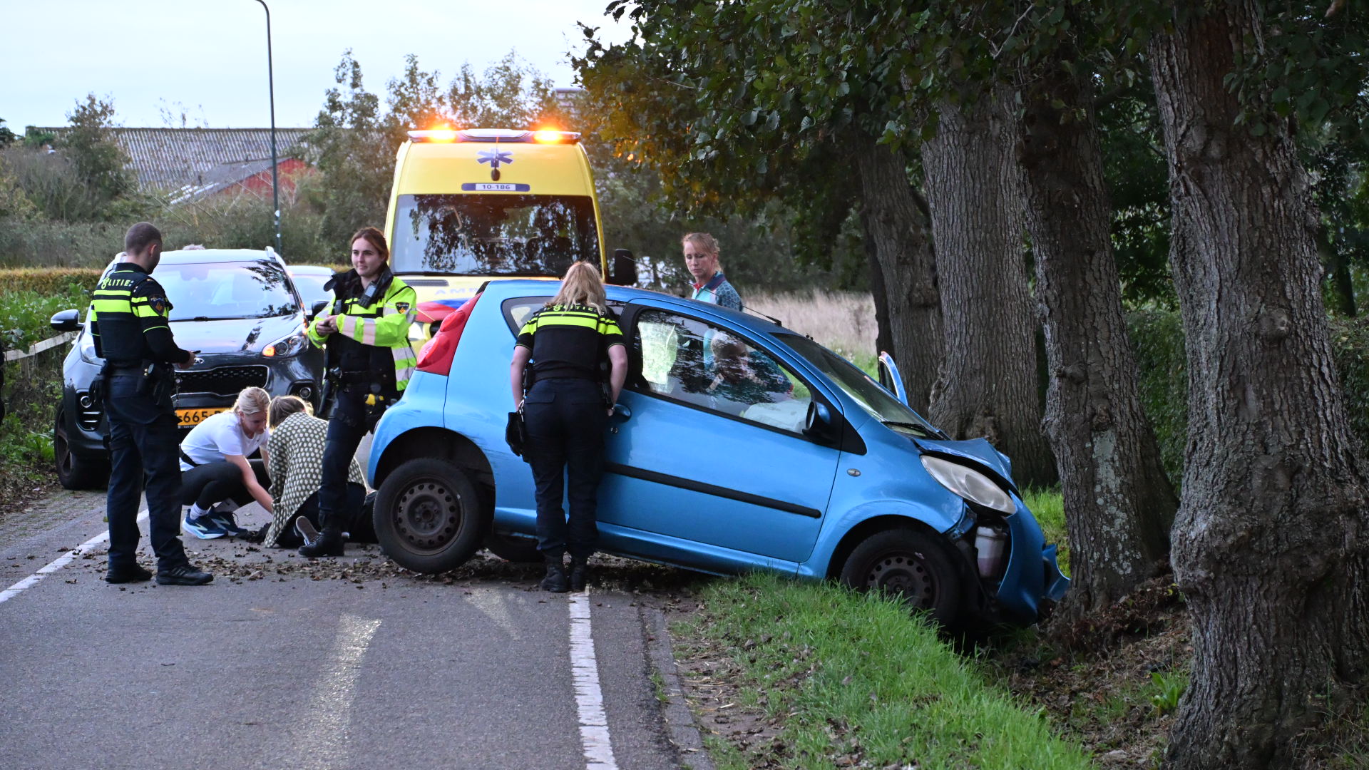 Een blauwe auto is tegen een boom gebotst, omringd door politieagenten en medisch personeel op een landelijke weg. Er staat een ambulance op de achtergrond en enkele mensen buigen zich naar de grond om hulp te bieden.