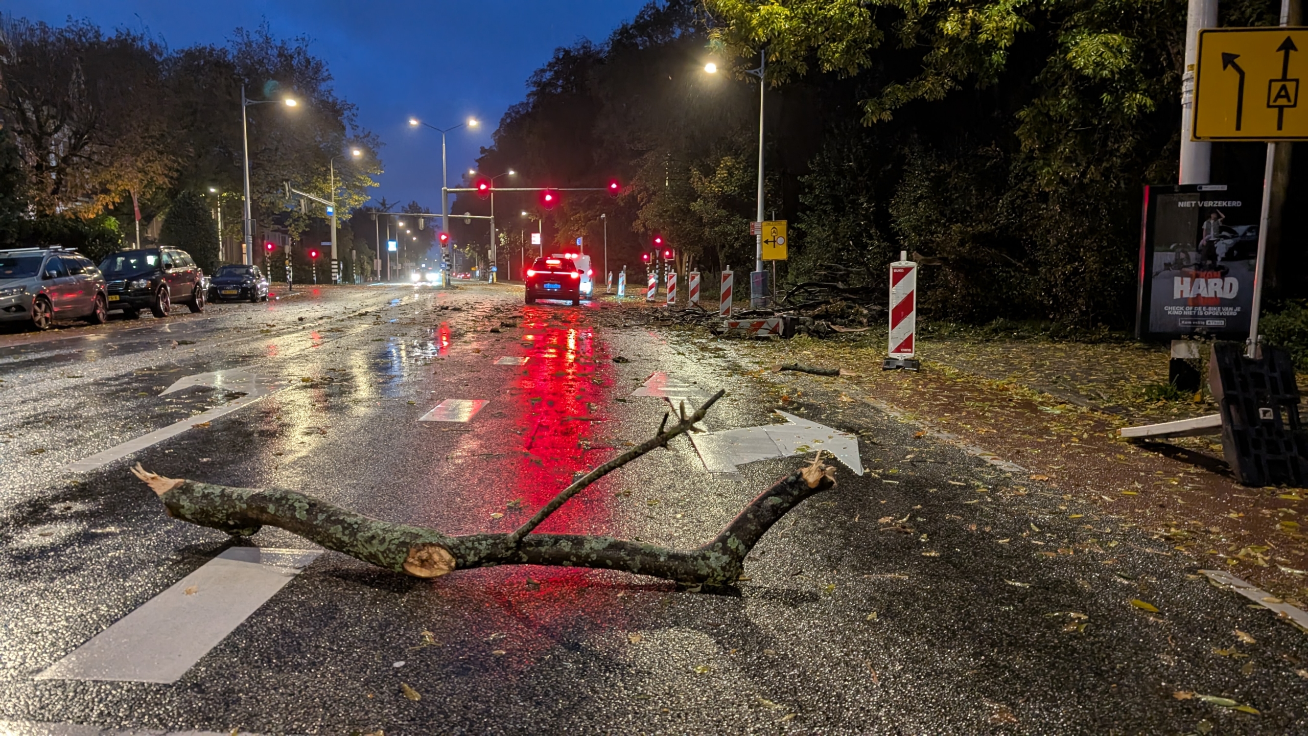 Een natte straat in de nacht met een grote tak die over de rijbaan ligt, omgeven door auto's aan de kant van de weg. Verkeerslichten zijn rood en verkeersborden zijn zichtbaar langs de weg.