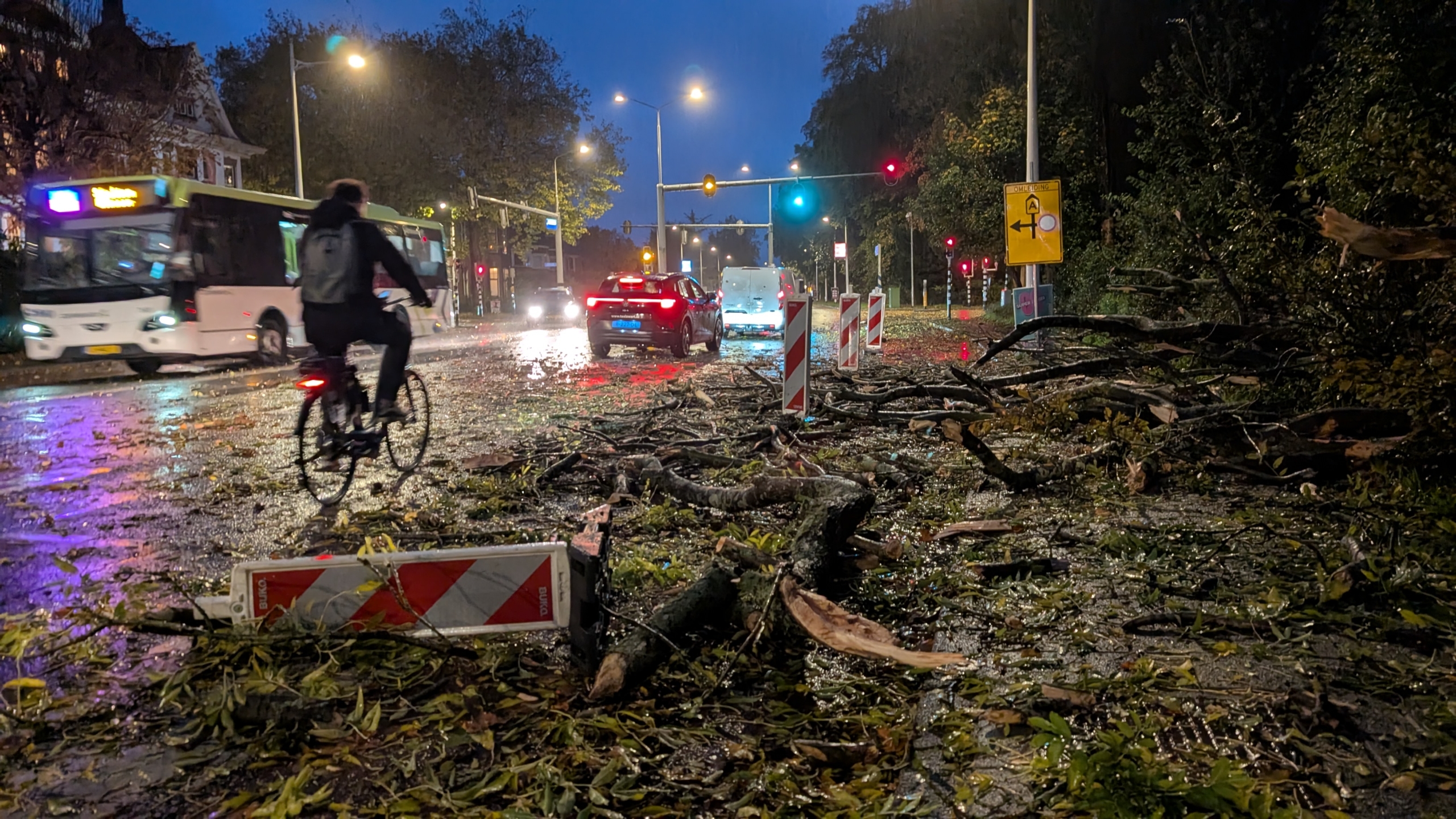 Boom valt op Kennemerstraatweg in Alkmaar, automobilisten letten niet op