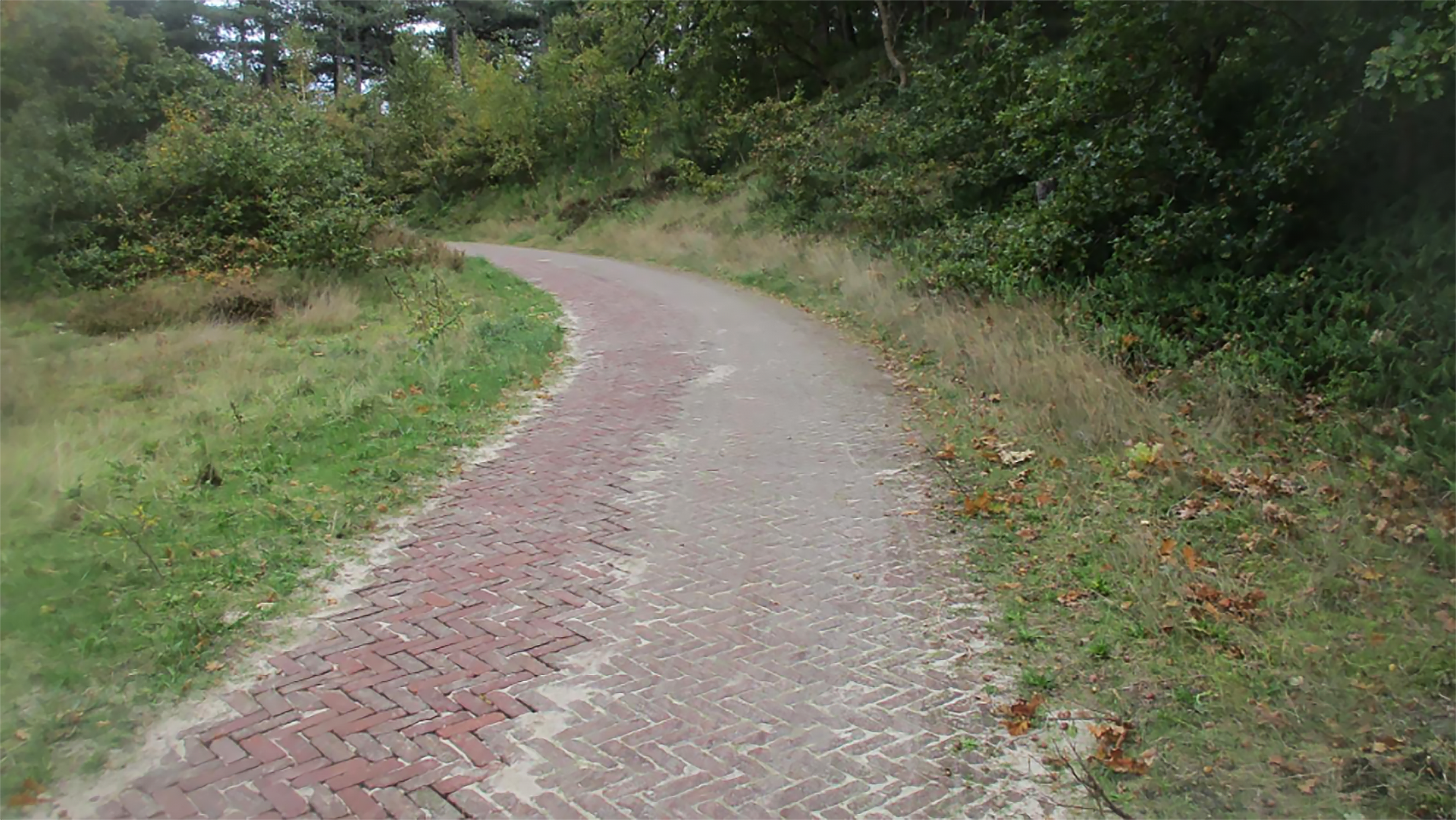 Kronkelend pad van rode bakstenen omgeven door gras en bomen.