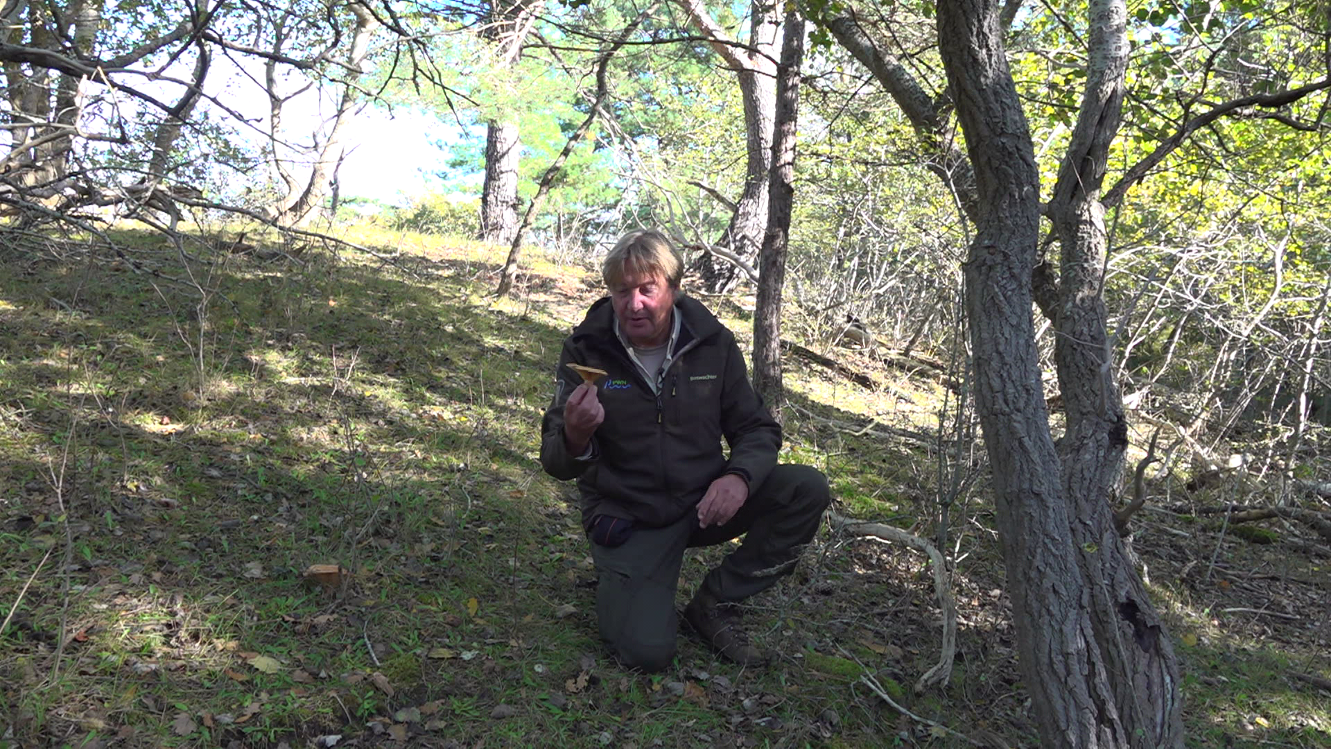 Giftige paddenstoelen en boetes: waarom je niet moet plukken in het duinreservaat