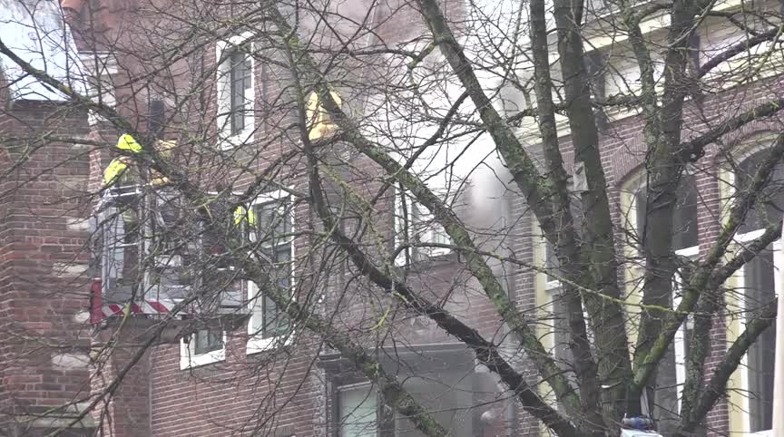 Brandweerlieden in gele jassen op een brandweerladder, bezig met het bestrijden van een brand in een bakstenen gebouw, met rook die uit de ramen komt en een boom op de voorgrond.