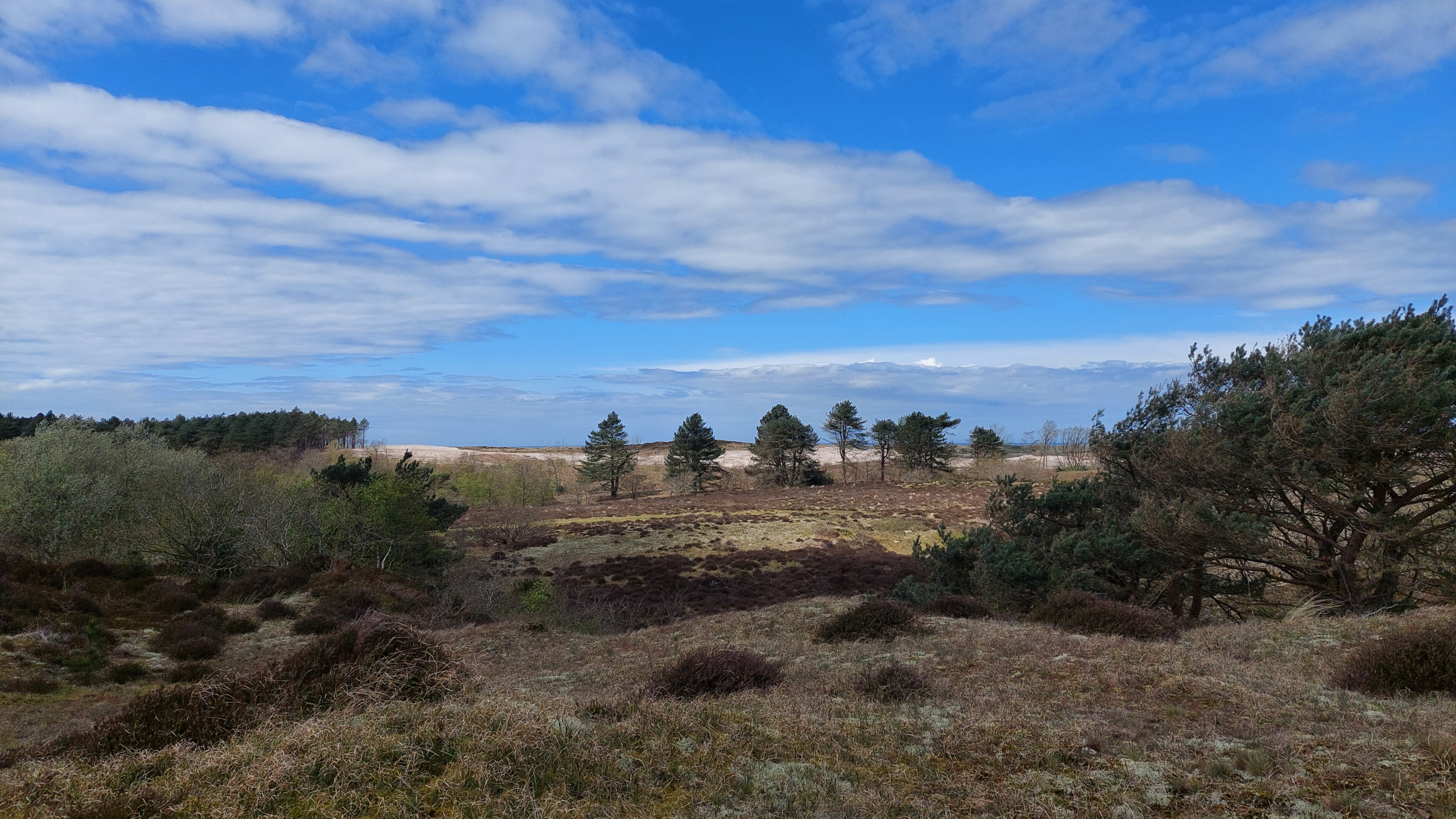 Landschap met weelderige groene vegetatie, verspreide bomen en een blauwe lucht met wolken.