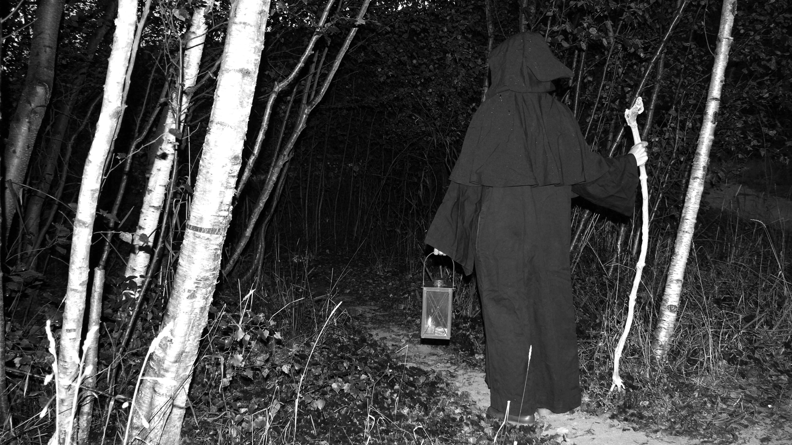 Een figuur in een donkere mantel met kap loopt in een bos, houdend een lantaarn en een staf vast, omringd door bomen in het donker.