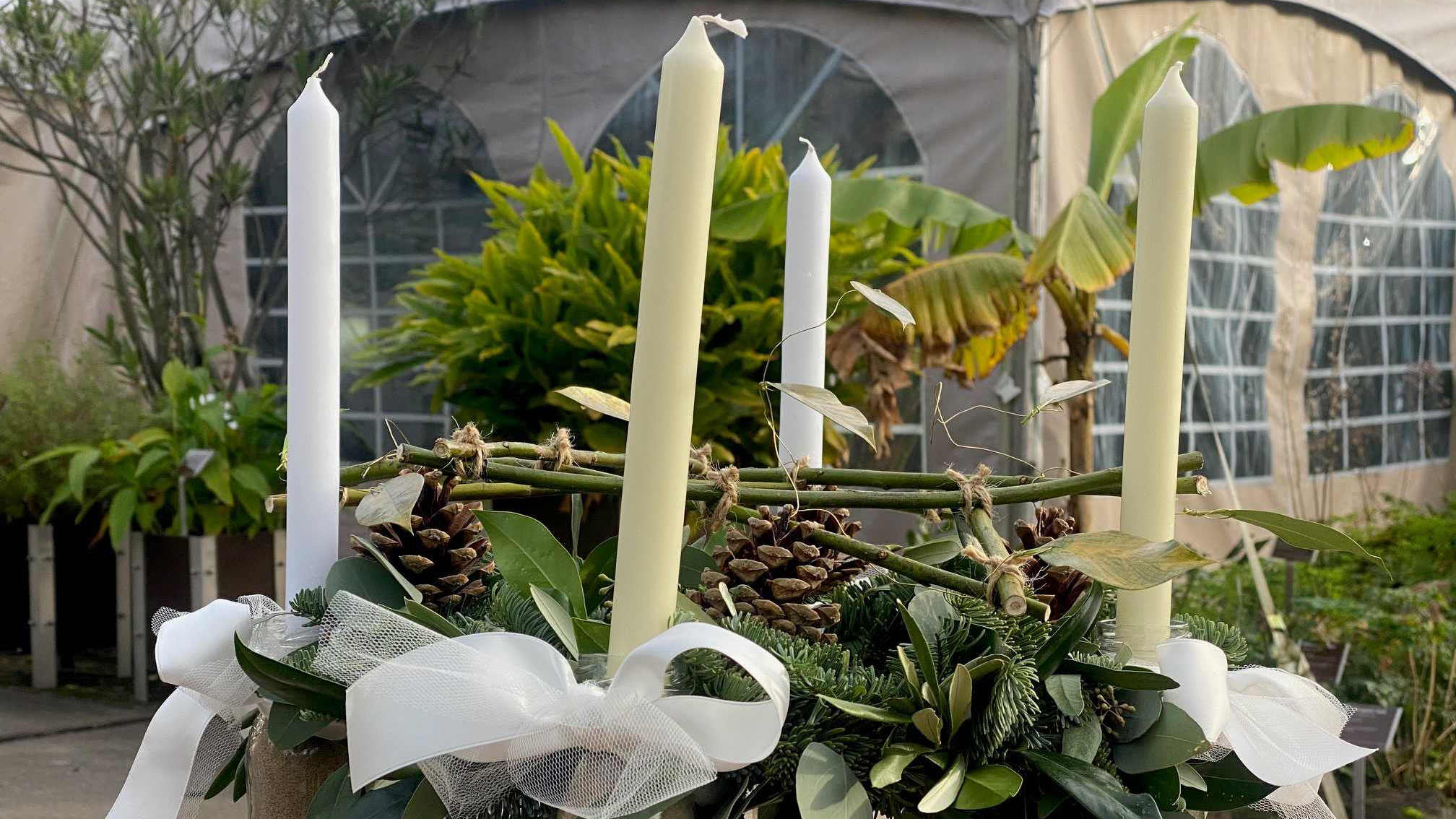 Witte kaarsen met dennenappels en bladeren in een decoratieve display, gefotografeerd buiten met groene planten en een tent op de achtergrond.