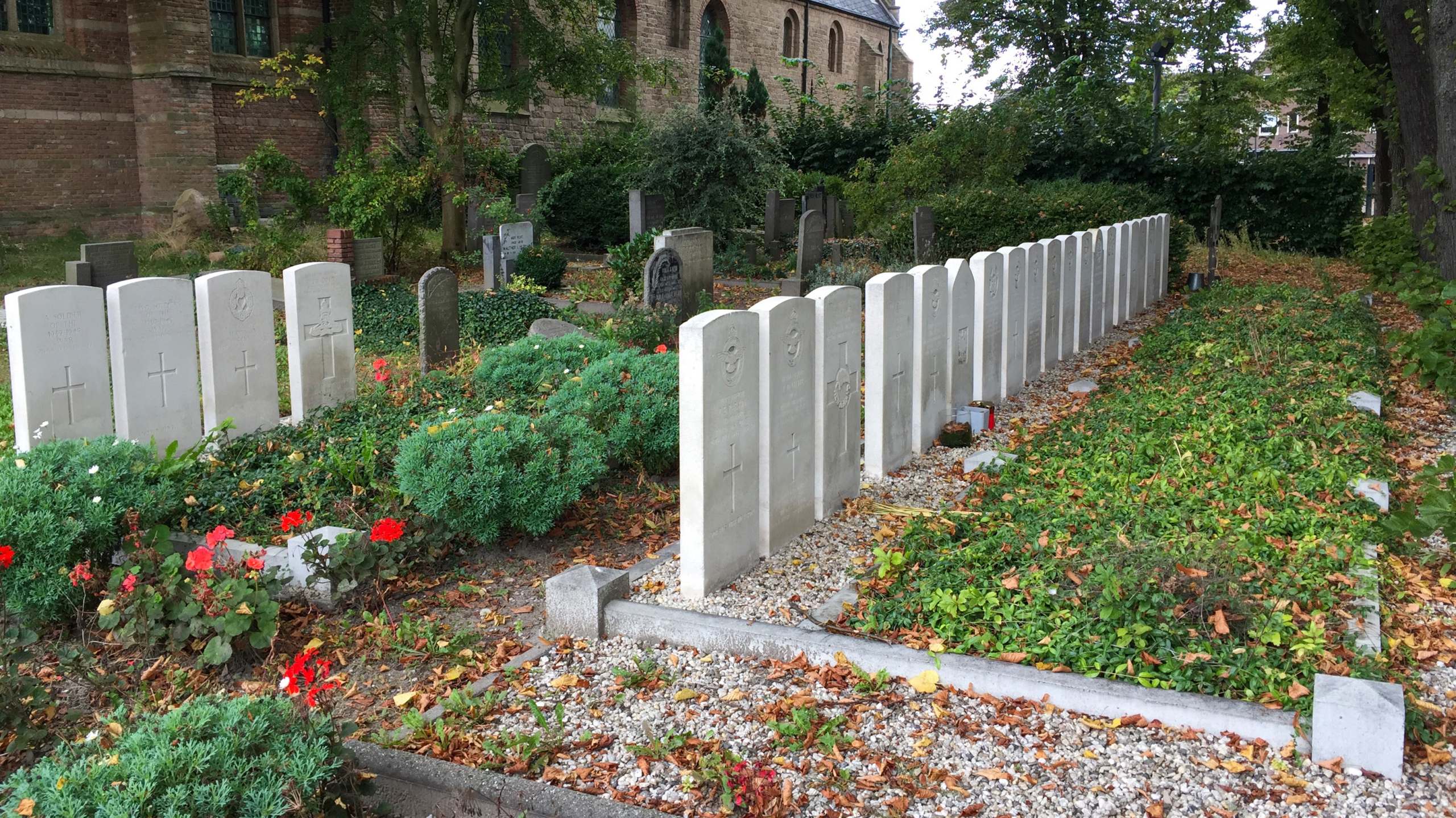 Rij witte grafstenen op een begraafplaats, omgeven door struiken en herfstbladeren, naast een kerkgebouw.