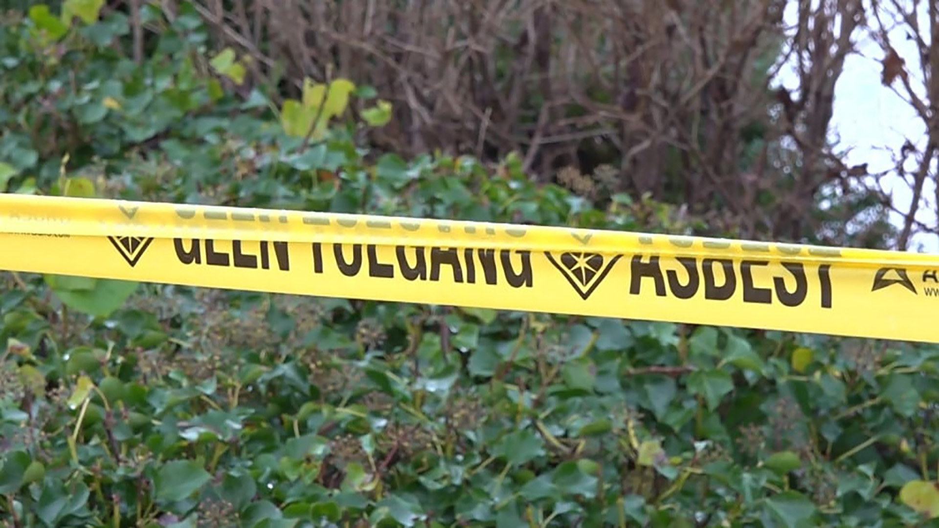 Gele afzetlint met de tekst "Geen toegang - Asbest" voor groene struiken.