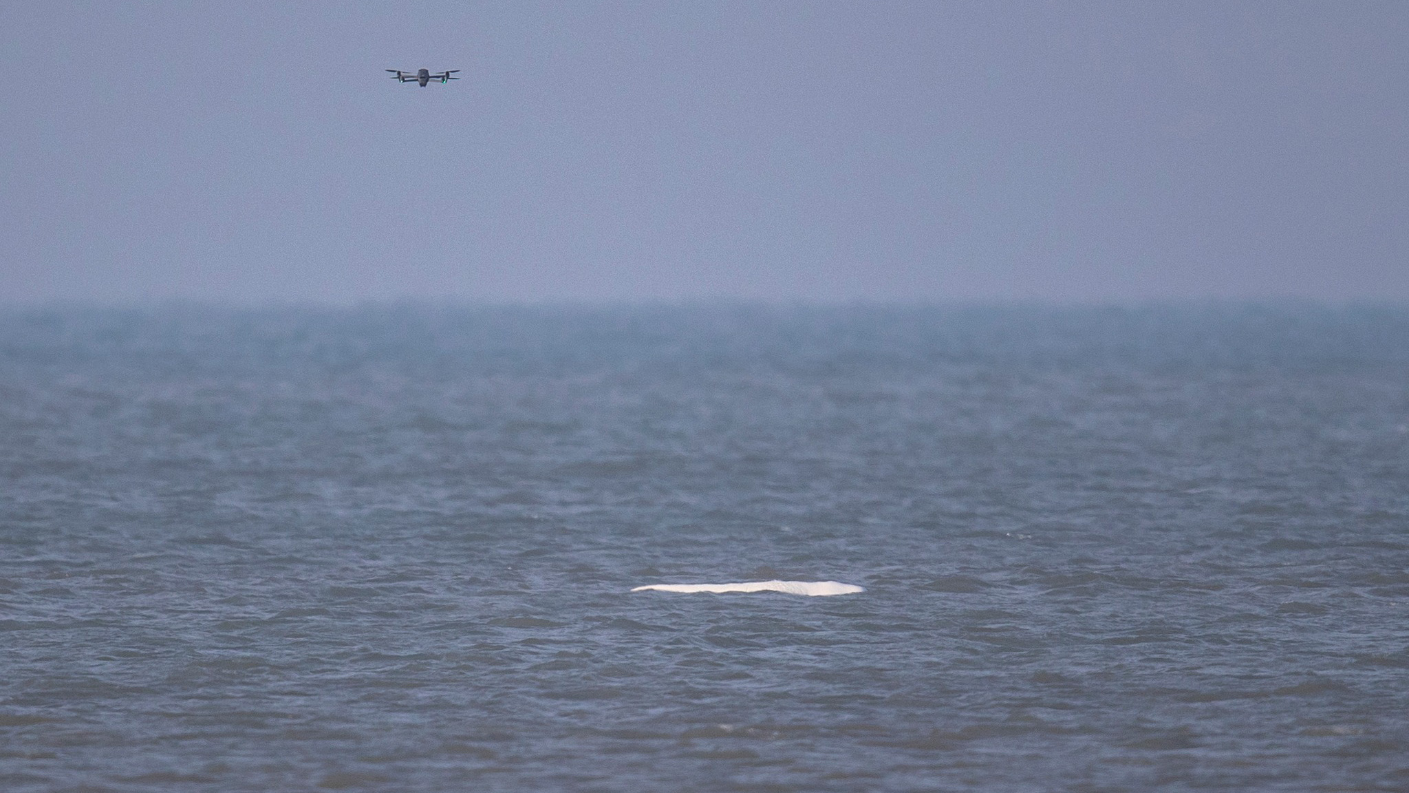 Drone boven een uitgestrekt zee-oppervlak met een wit object in het water.