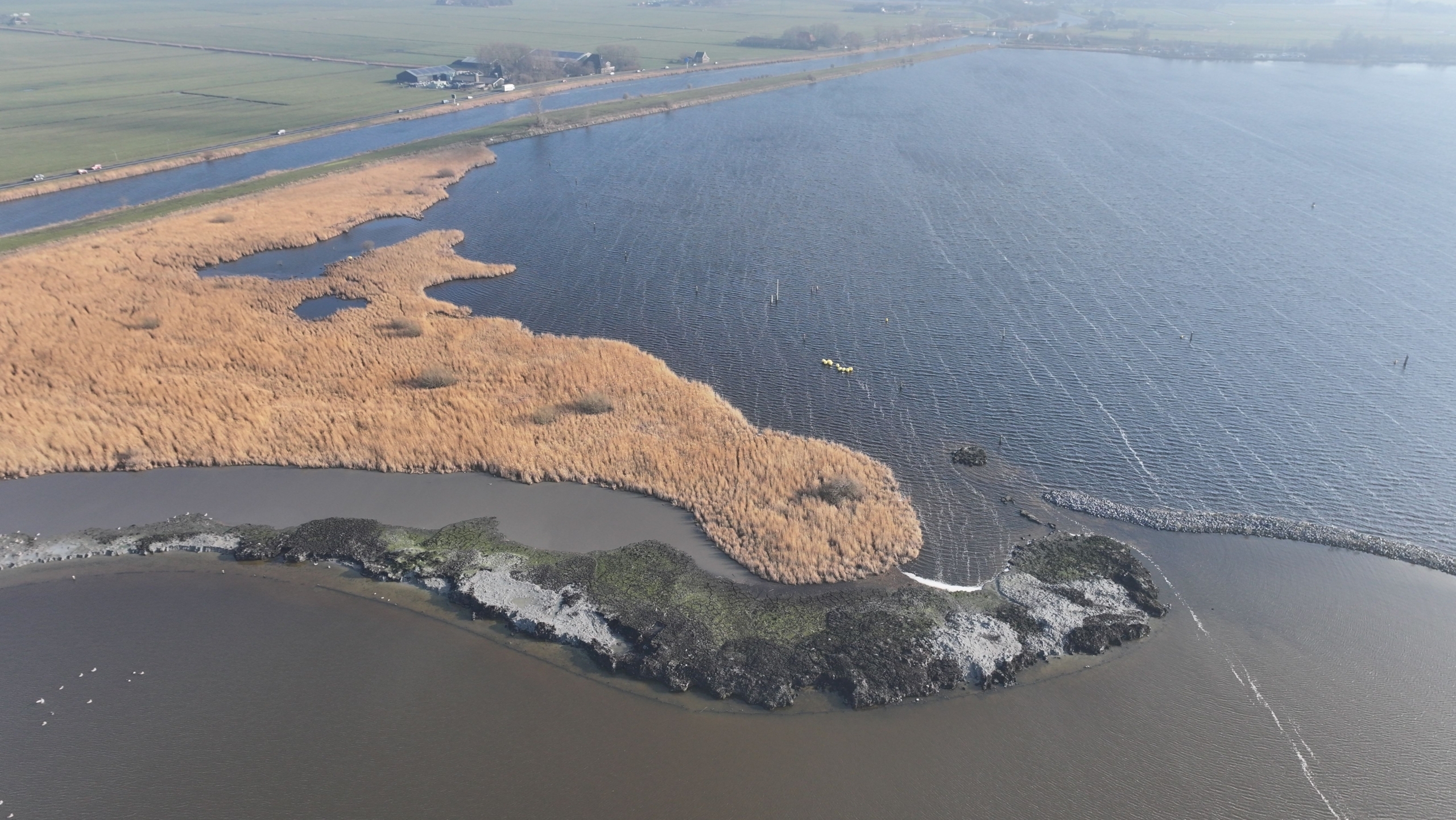 Luchtfoto van een waterrijk gebied met rietvelden en smalle stroken land omgeven door water, met enkele gebouwen op de achtergrond.