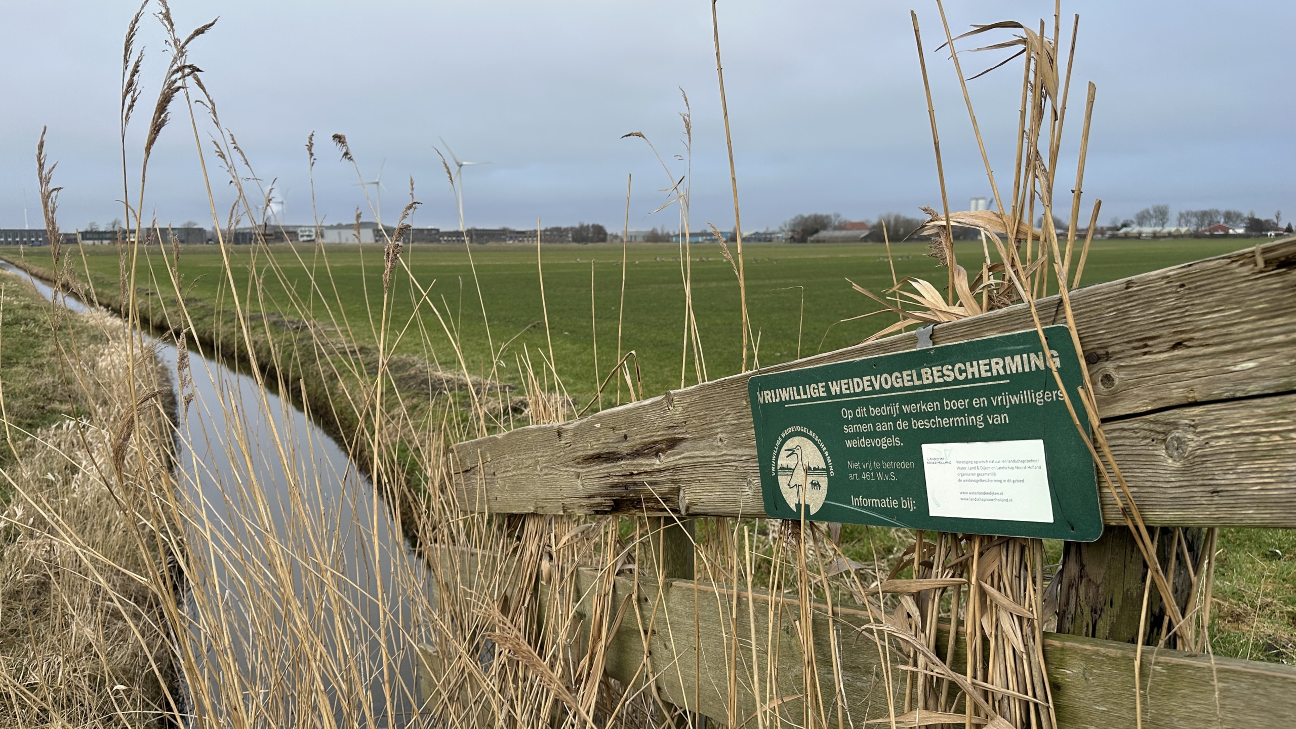 Houten hek met een bord voor vrijwillige weidevogelbescherming naast een sloot in een graslandschap.