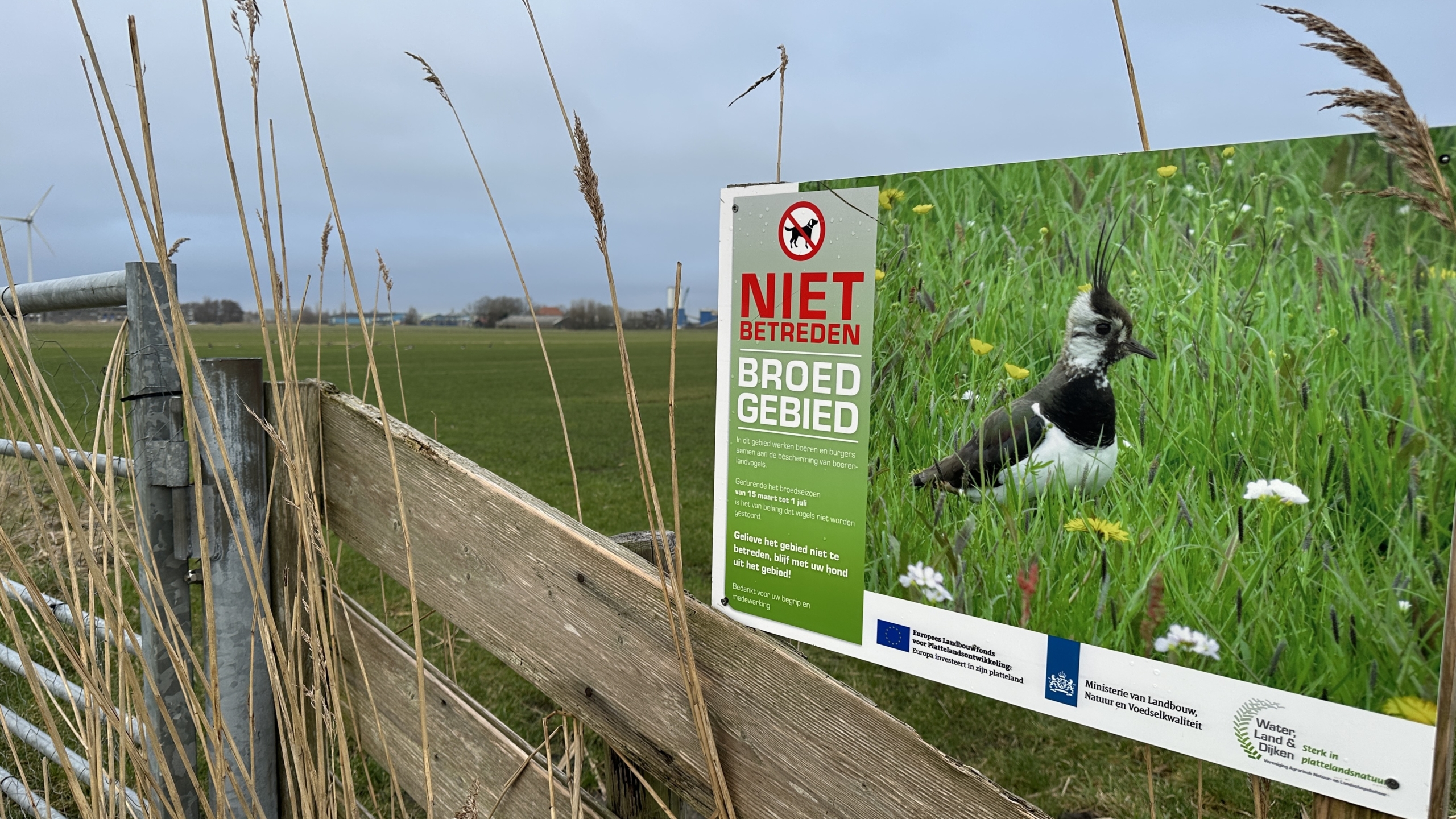 Bord met "Niet betreden, broedgebied" op een hek bij een grasveld met een afbeelding van een kievit.