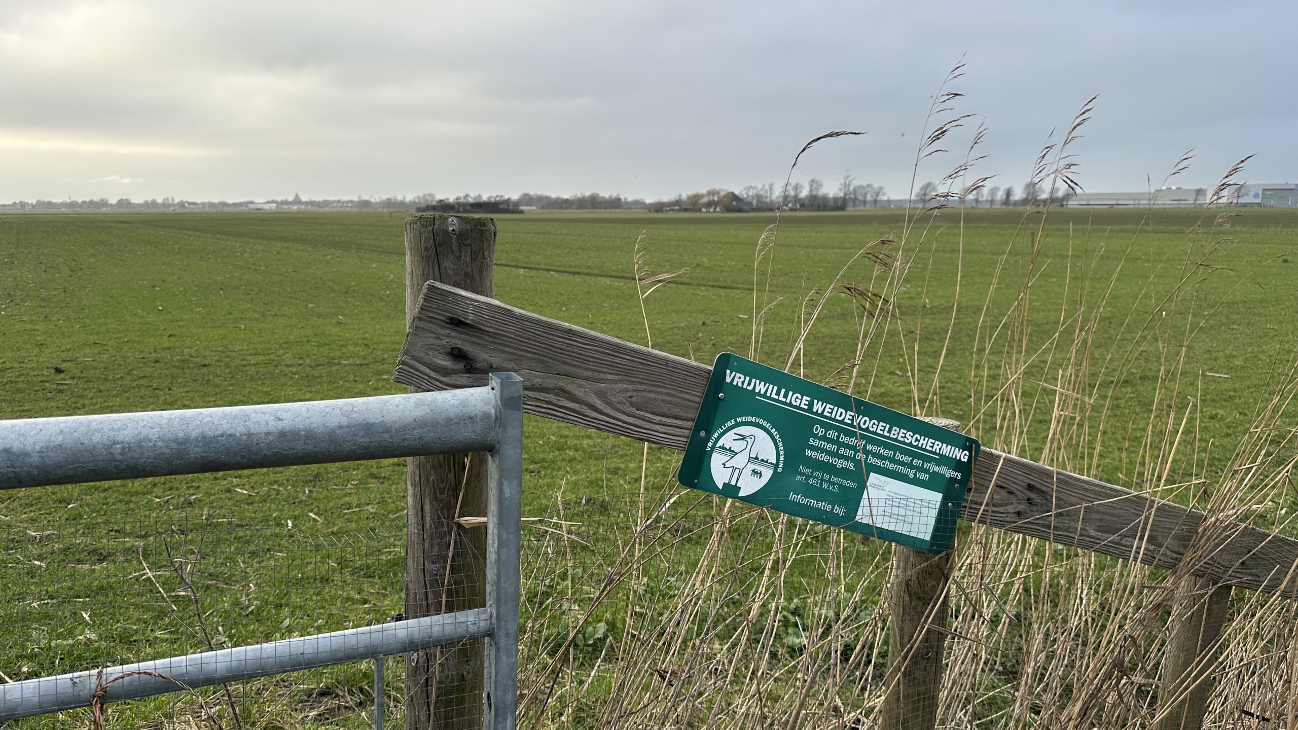 Boerenland met een hek eraan een bord waarop staat "Vrijwillige Weidevogelbescherming" omringd door lange grassen.
