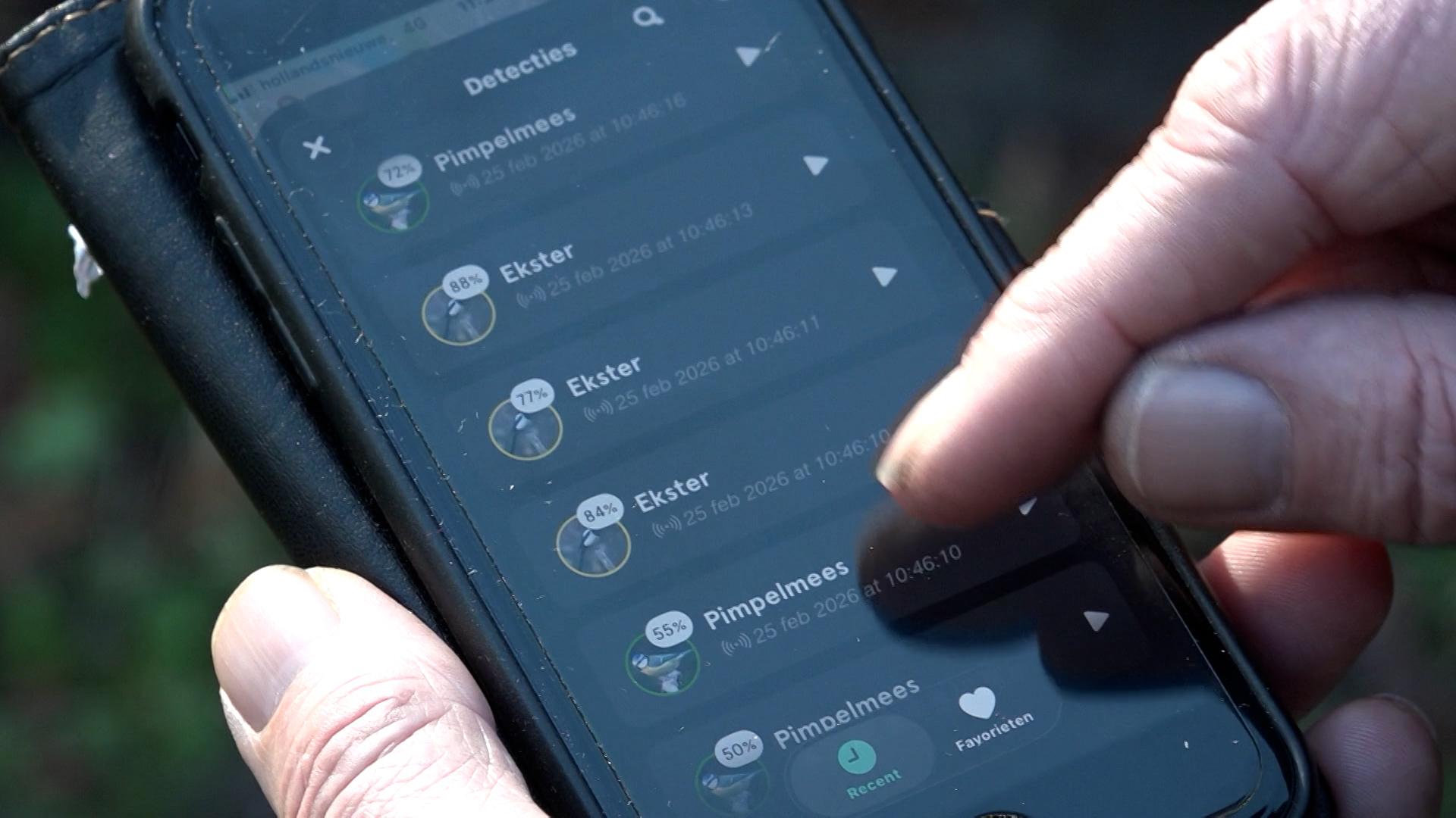 Groep detecties op een smartphone-scherm, met namen van vogels zoals "Pimpelmees" en "Ekster", en percentages ernaast.