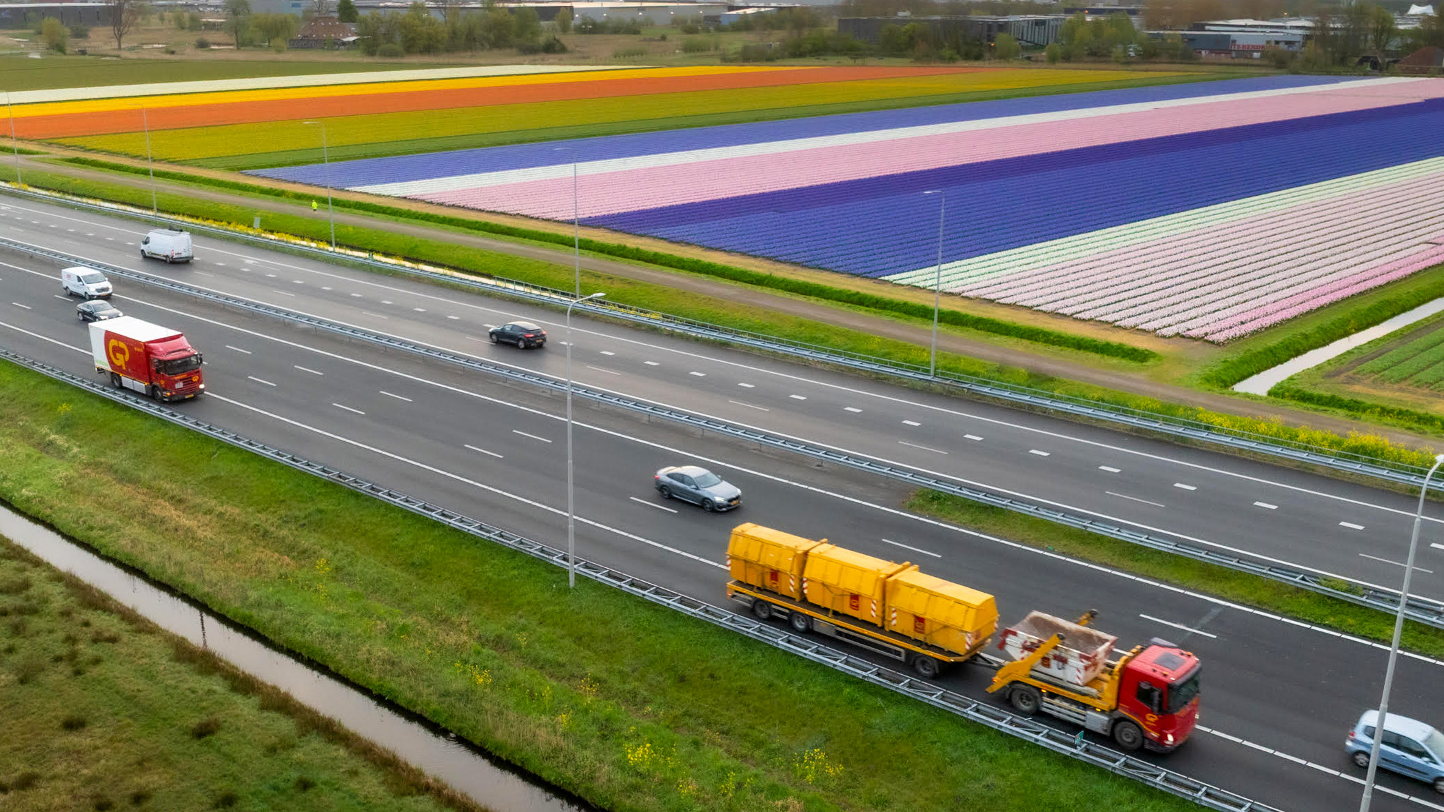 Vrachtwagens en auto's rijden over een snelweg naast kleurrijke tulpenvelden in verschillende tinten.