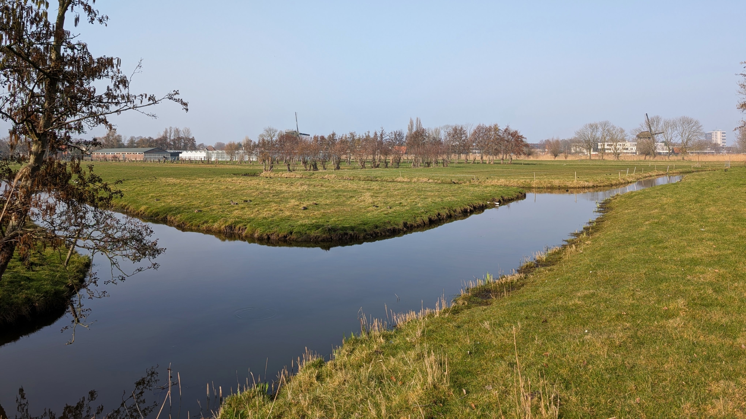 Een rustig landschap met een kronkelende beek, omgeven door groene weiden en kale bomen onder een heldere hemel.