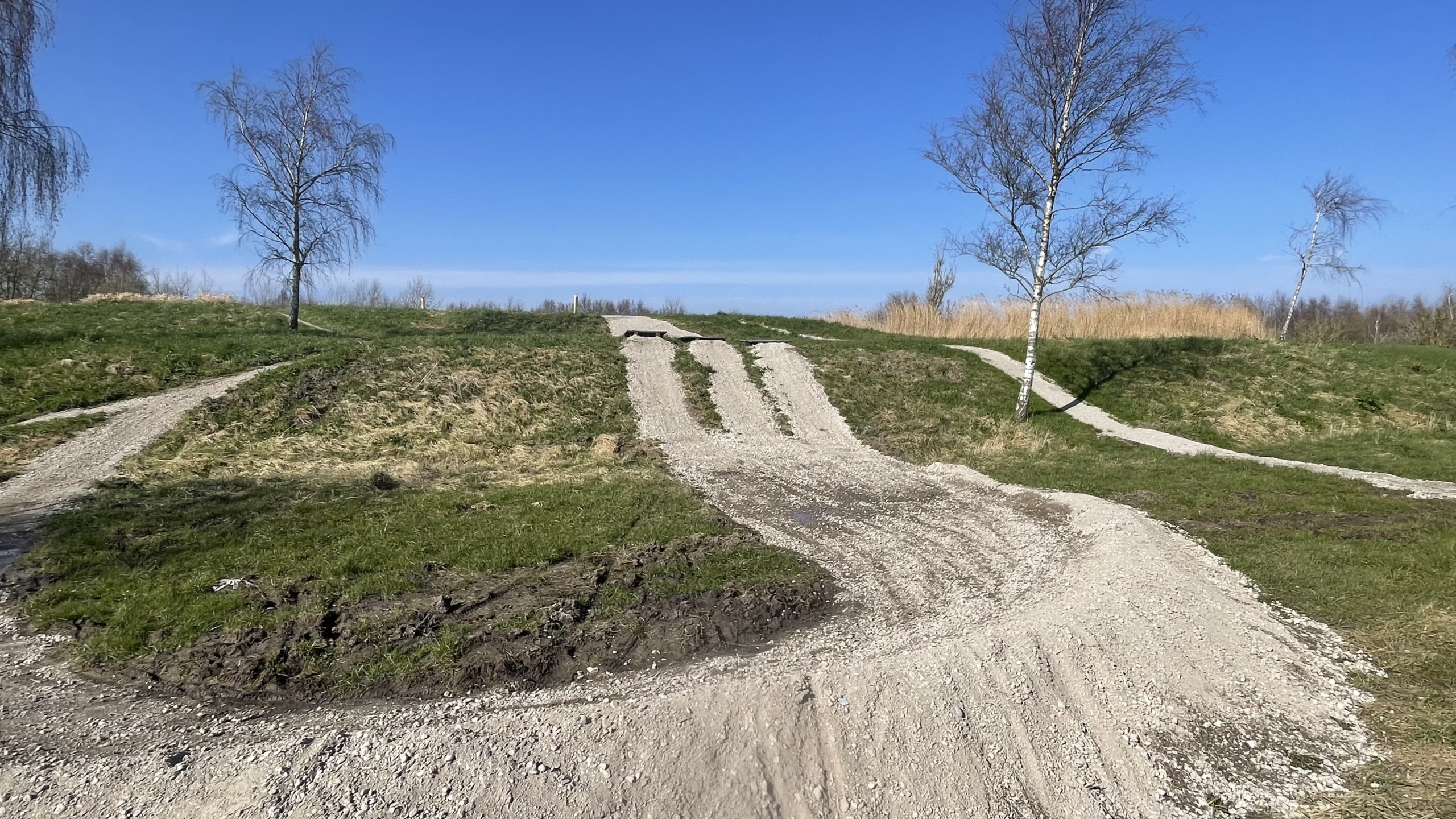 Kronkelende zandpaden op een heuvelachtig terrein met kale bomen onder een heldere blauwe lucht.