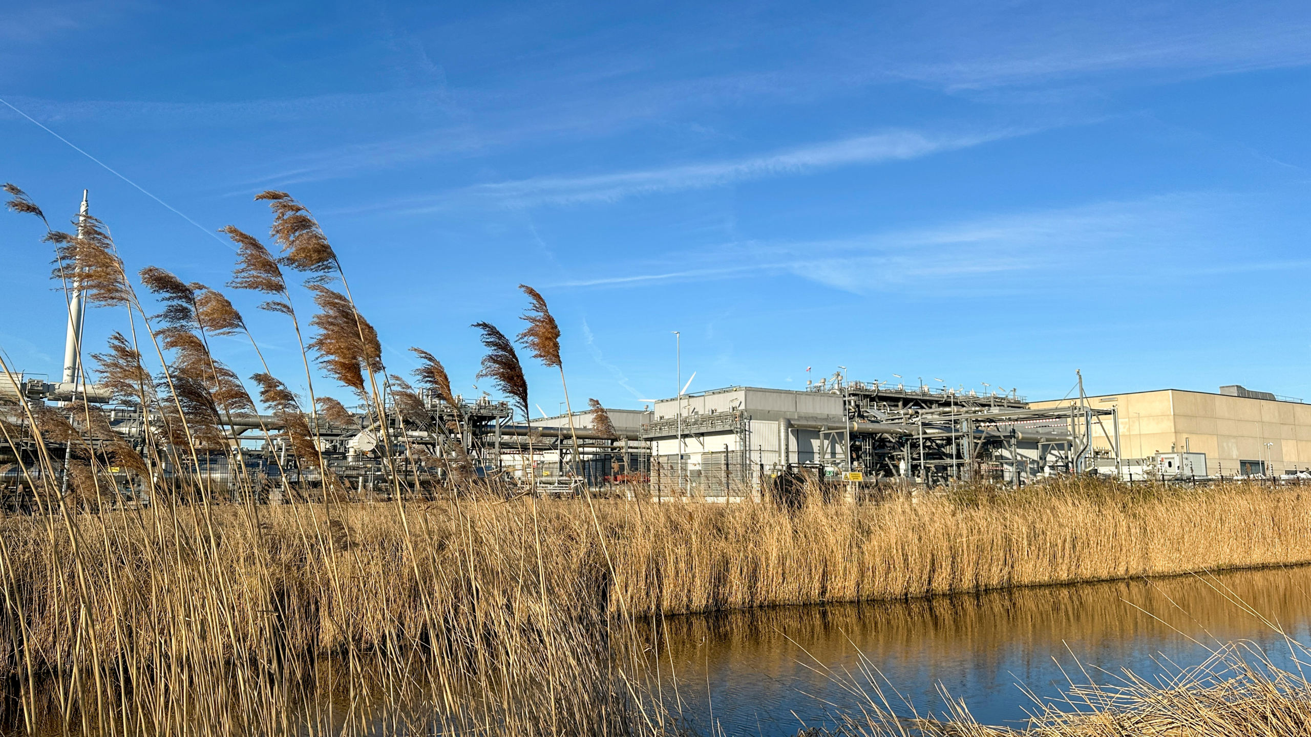 Industriecomplex omgeven door riet en een waterbassin onder een heldere blauwe lucht.