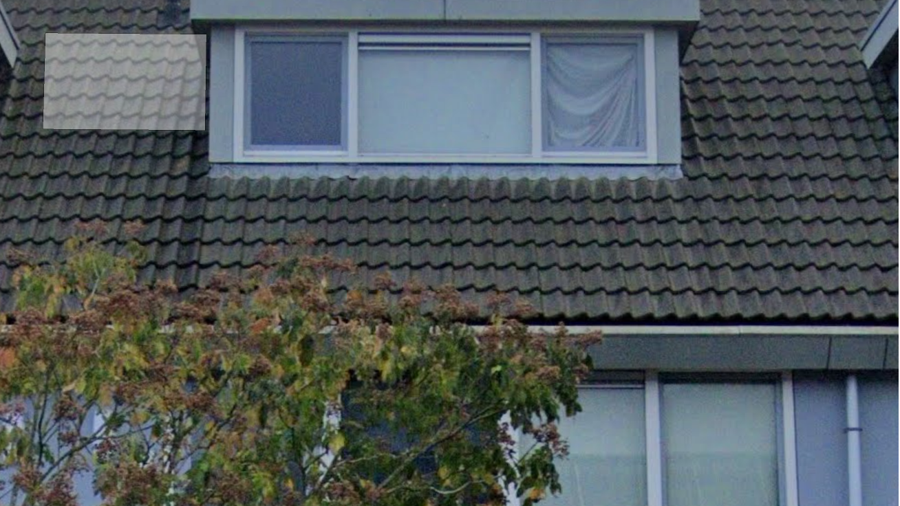 Dakraam op een schuin pannendak, met een boom ervoor.