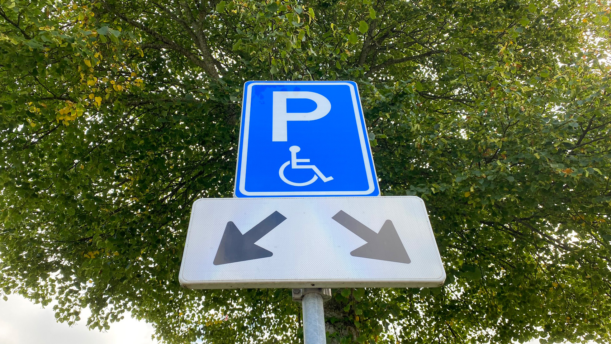 Verkeersbord voor invalide parkeerplaats met pijlen die naar links en rechts wijzen, tegen een achtergrond van groene bomen.