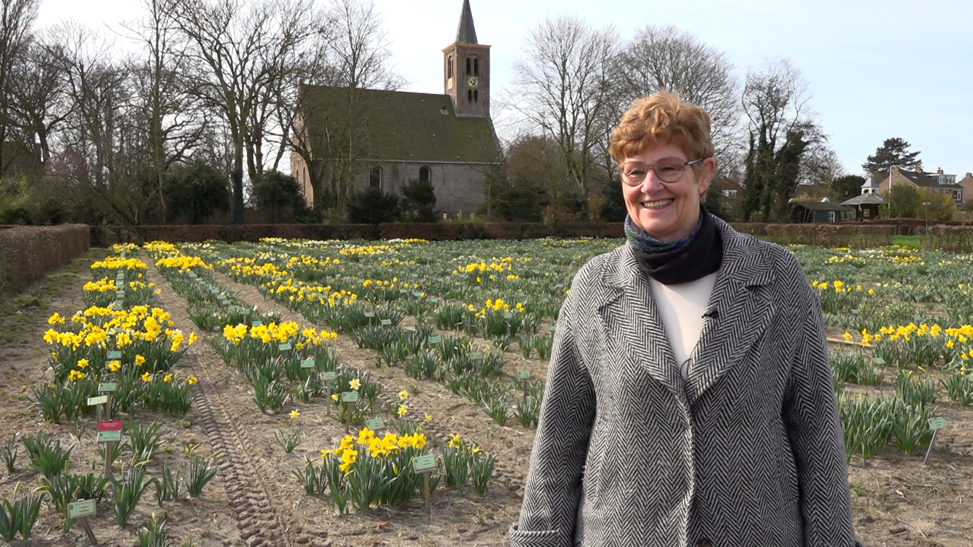 Vrouw glimlacht in een veld met gele narcissen, met een kerk op de achtergrond.