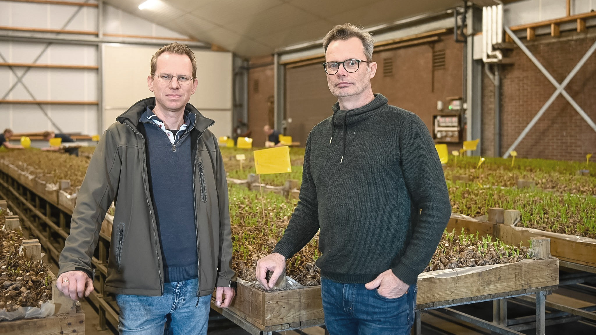 Twee mannen staan in een kas bij tafels vol met bloembollen in potten.