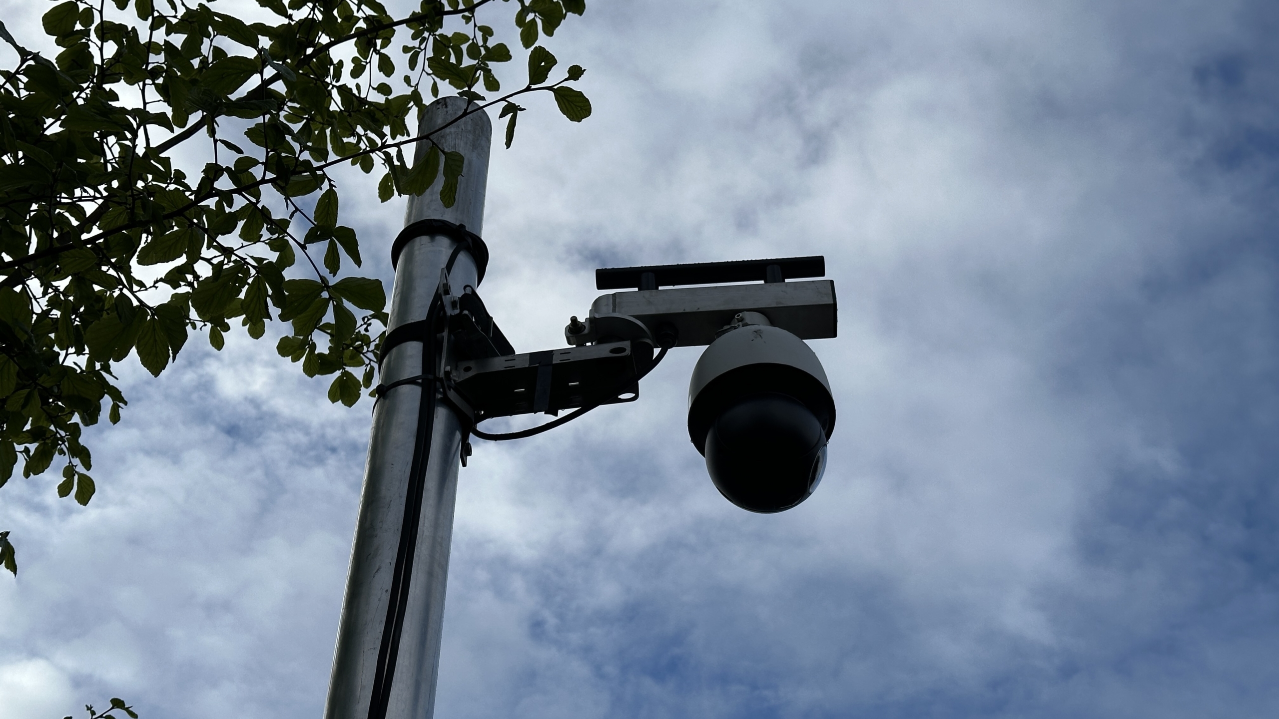 Bewakingscamera bevestigd aan een paal naast een boom, gefotografeerd tegen een bewolkte hemel.