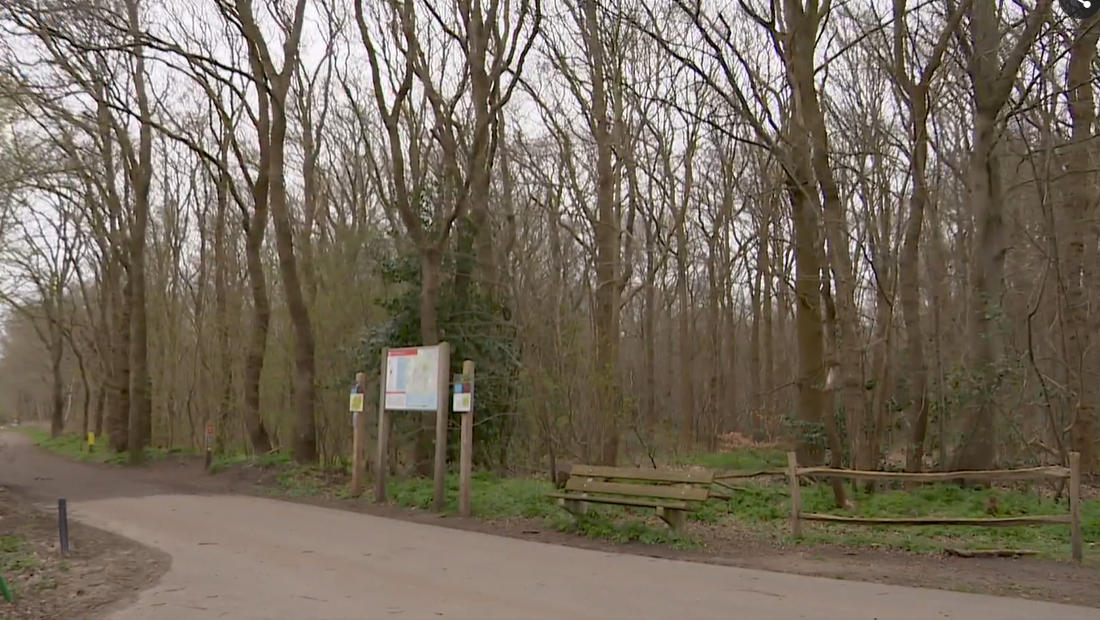 Bos met kale bomen en een informatiebord langs een weg, met een houten bankje en hek.
