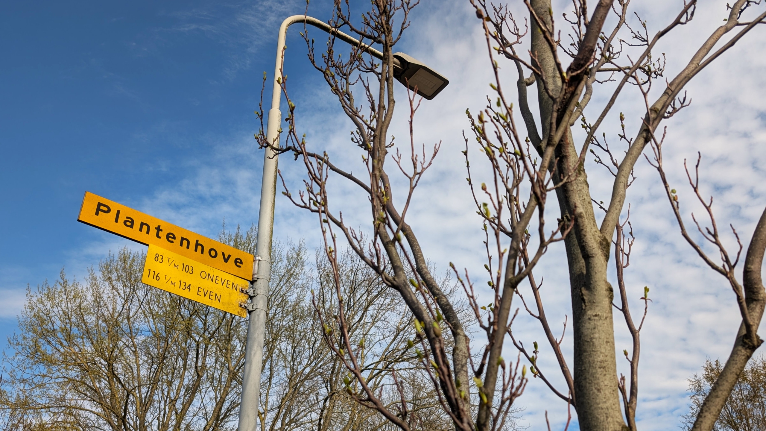Bomen met ontluikende knoppen naast een straatnaambord met de tekst "Plantenhove" en huisnummers tegen een bewolkte hemel.