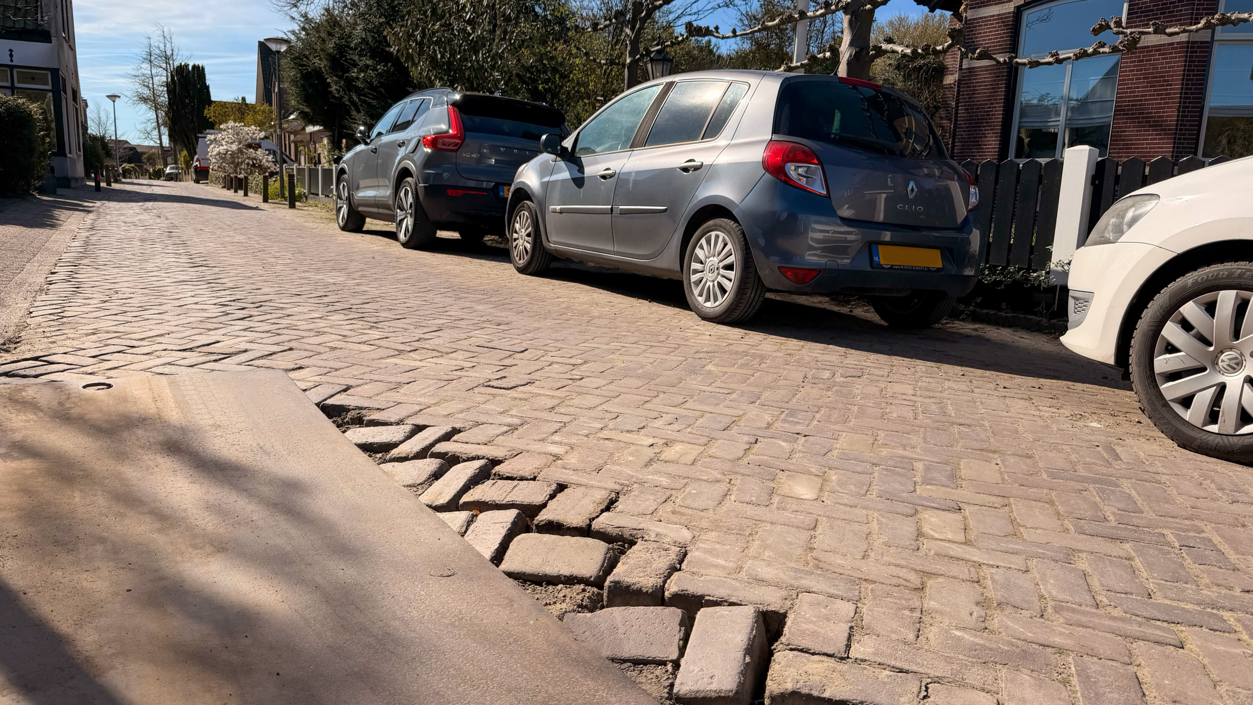Auto's geparkeerd langs een straat met hobbels in het wegdek; huizen en bomen op de achtergrond.