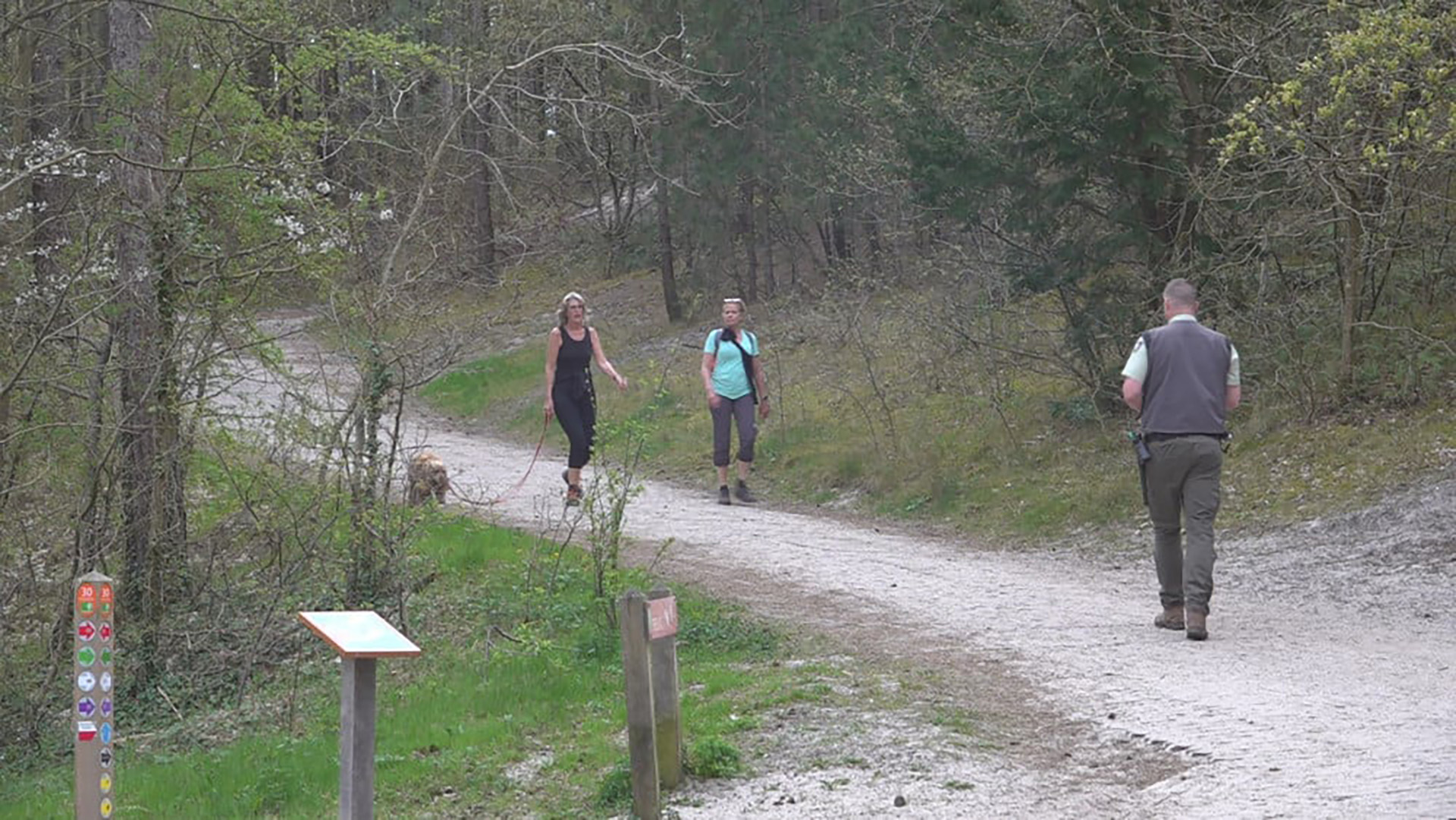 Mensen wandelen met een hond op een bospaadje, met langs de kant borden en groene vegetatie.