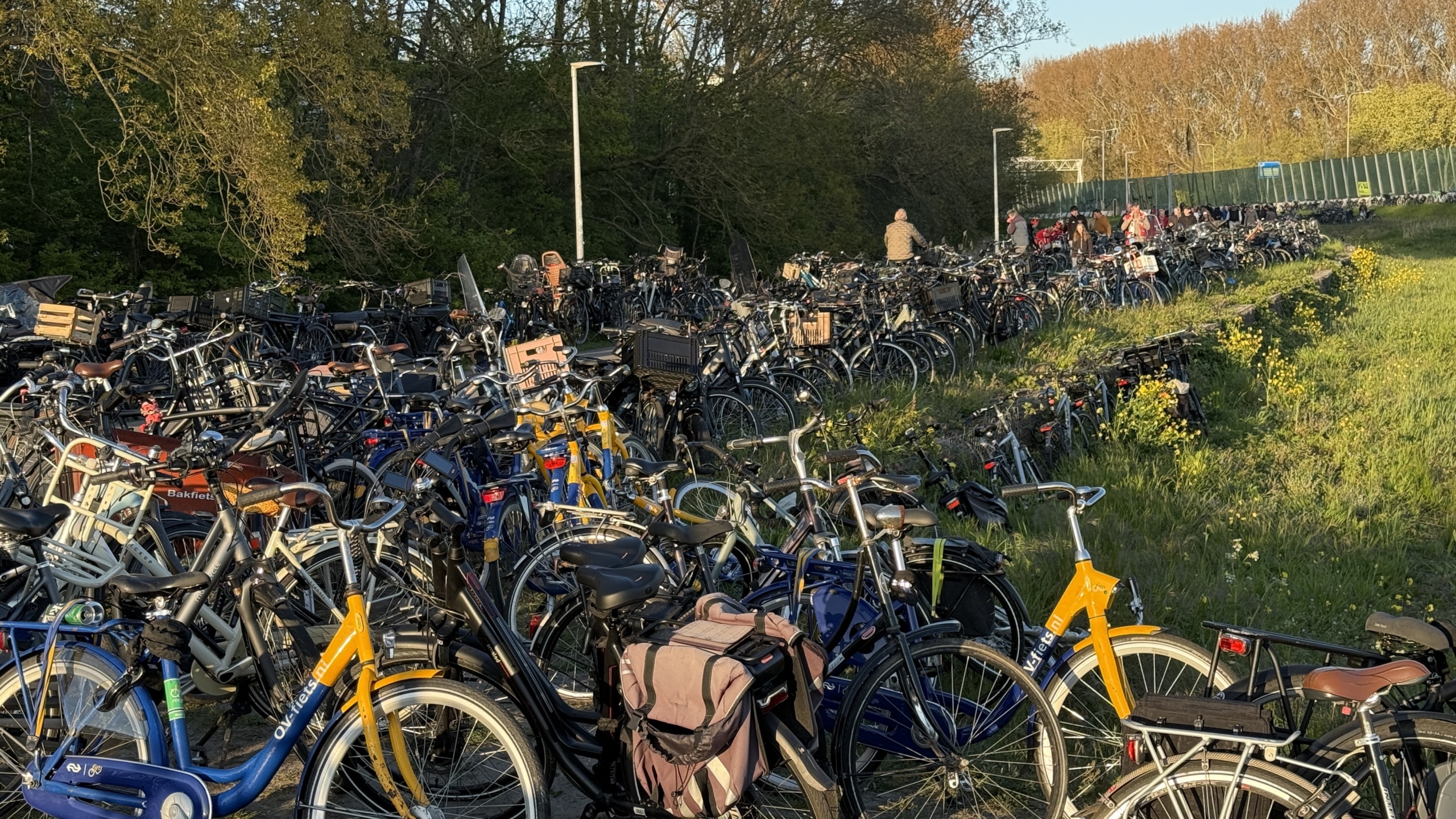 Een drukke fietsenstalling vol met diverse fietsen langs een groen grasveld, in de schemering.