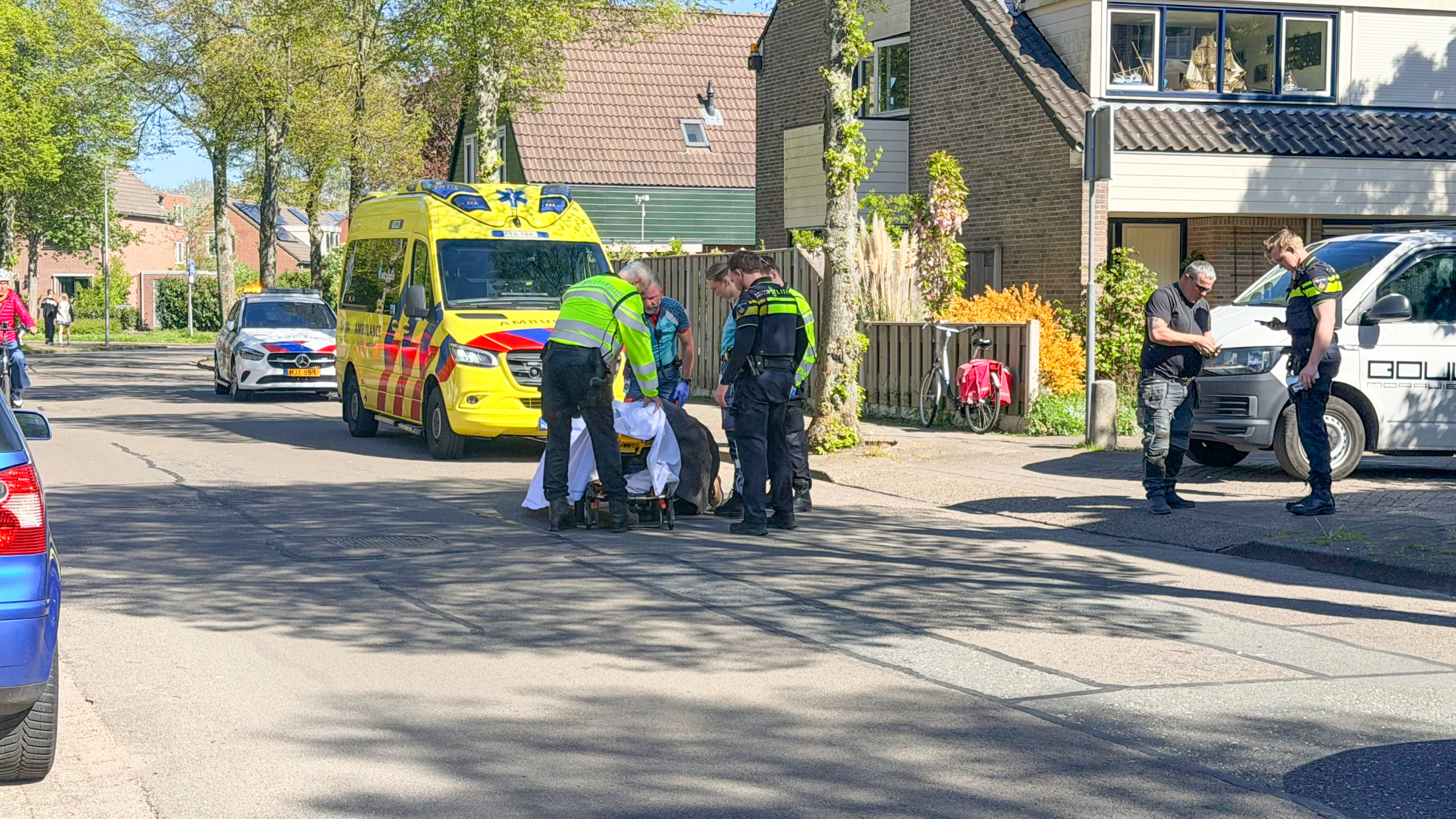 Politie- en ambulancepersoneel assisteert een persoon op een brancard in een rustige woonwijk op een zonnige dag.