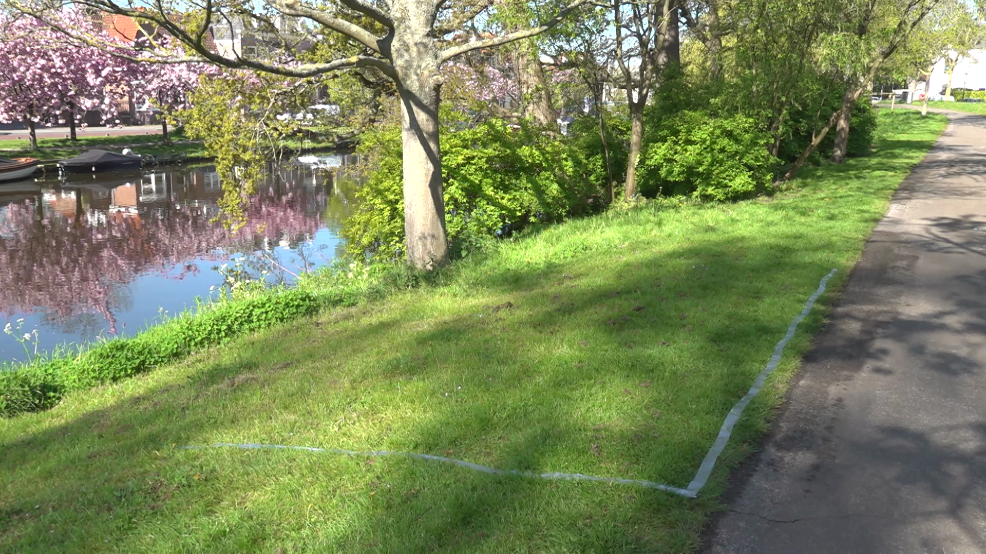 Grasveld met bomen en bloeiende struiken naast een rustige rivier; een pad loopt erlangs.