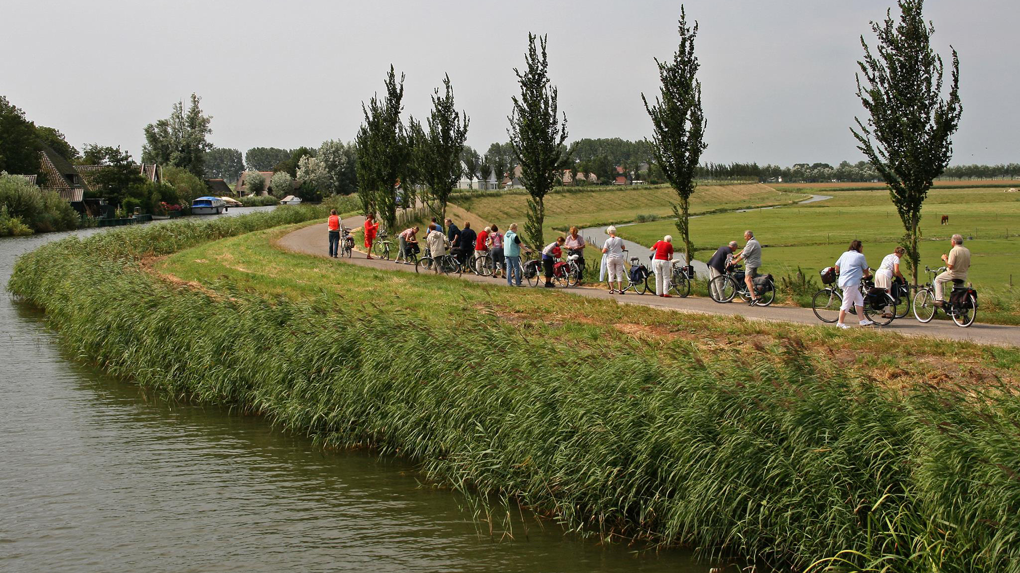 Groep mensen fietst langs een kanaal in een groen, landelijk landschap met enkele bomen.