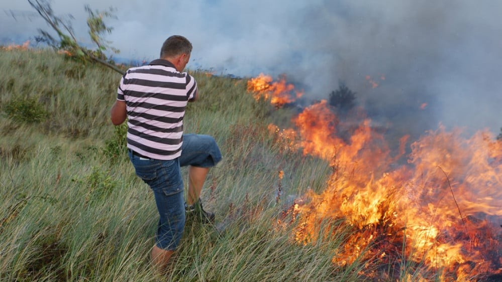 Man probeert een veldbrand te doven met een tak in een grasveld.