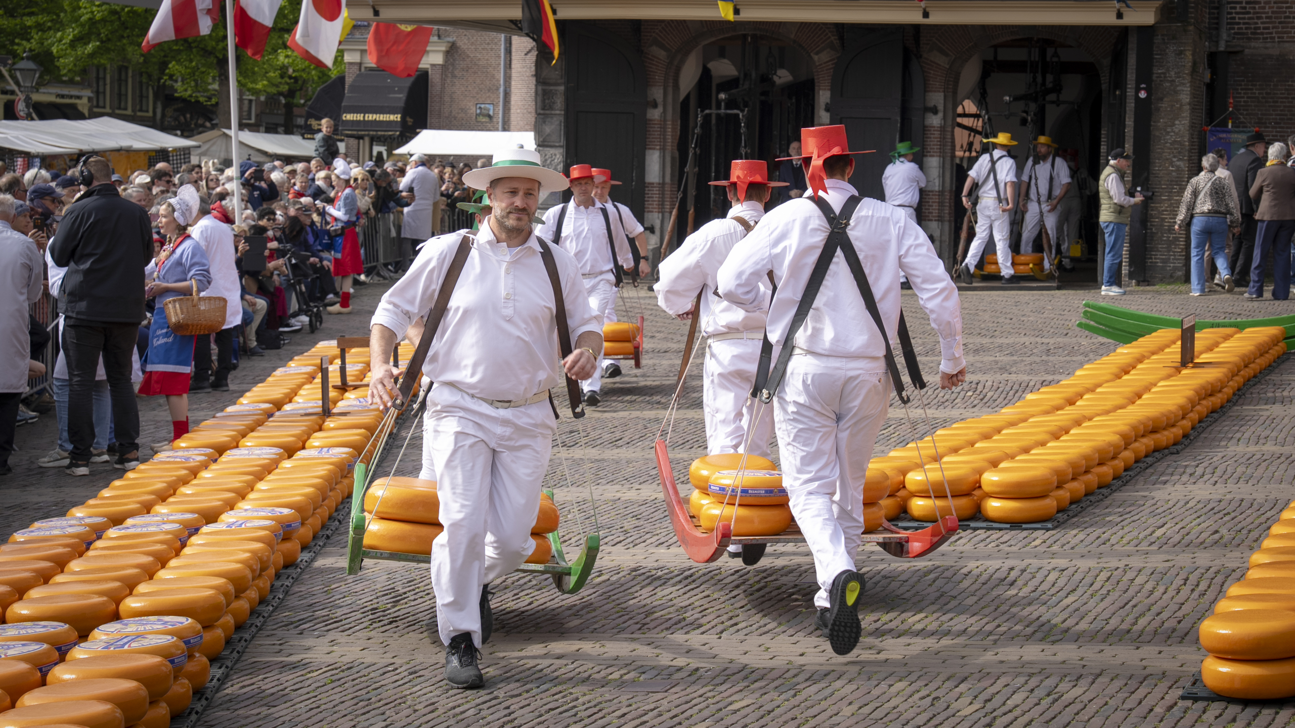Mannen in witte pakken dragen kazen op dragers tijdens een traditionele kaasmarkt met toeschouwers.
