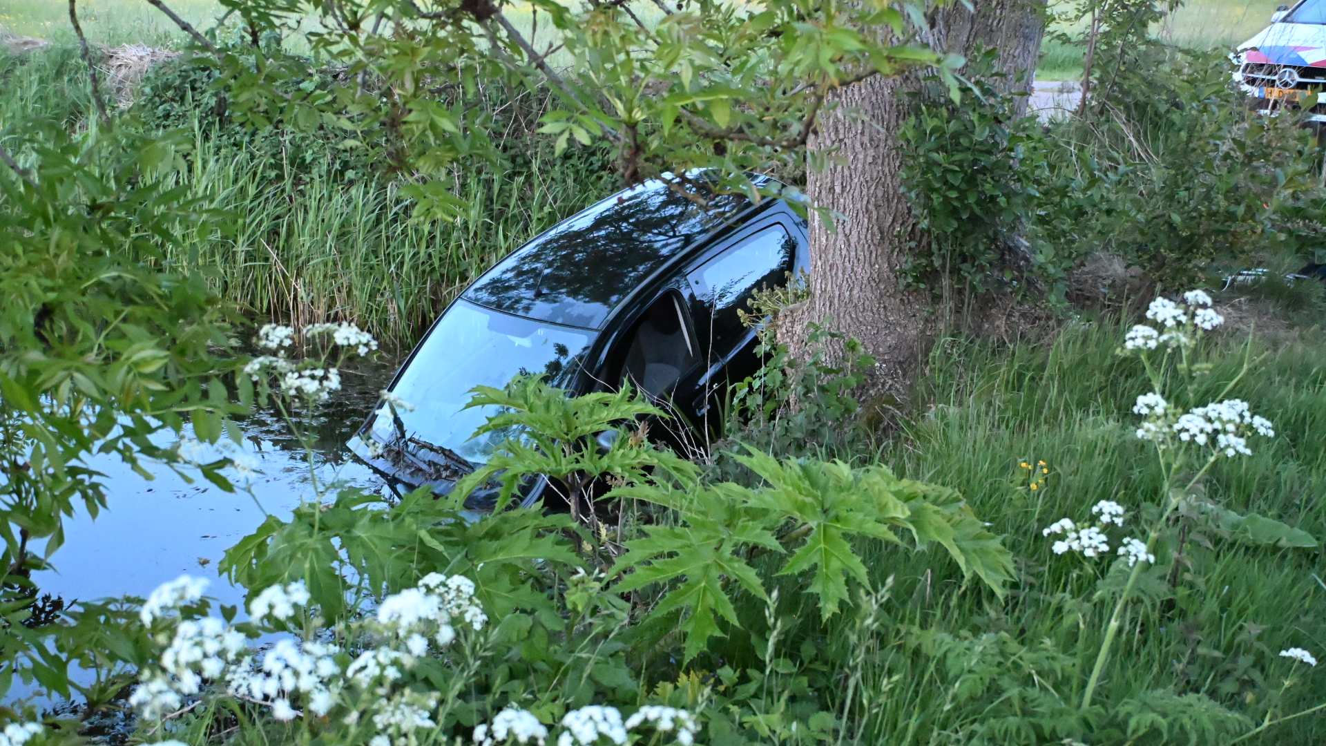 Zwarte auto deels ondergedompeld in een sloot, omringd door groene planten en witte bloemen, naast een boom.