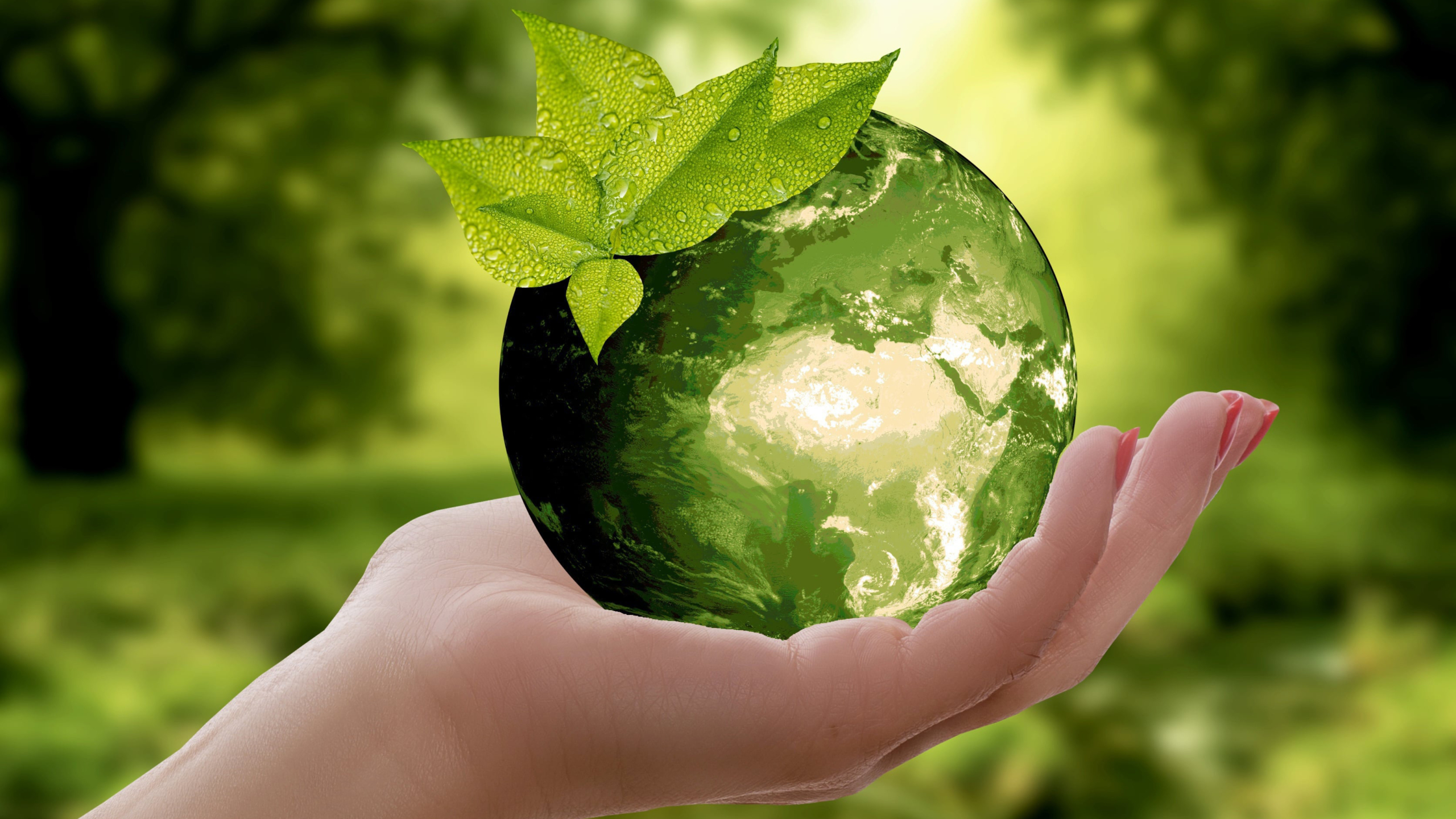 Hand houdt een groene wereldbol met bladeren vast, tegen een wazige groene achtergrond.
