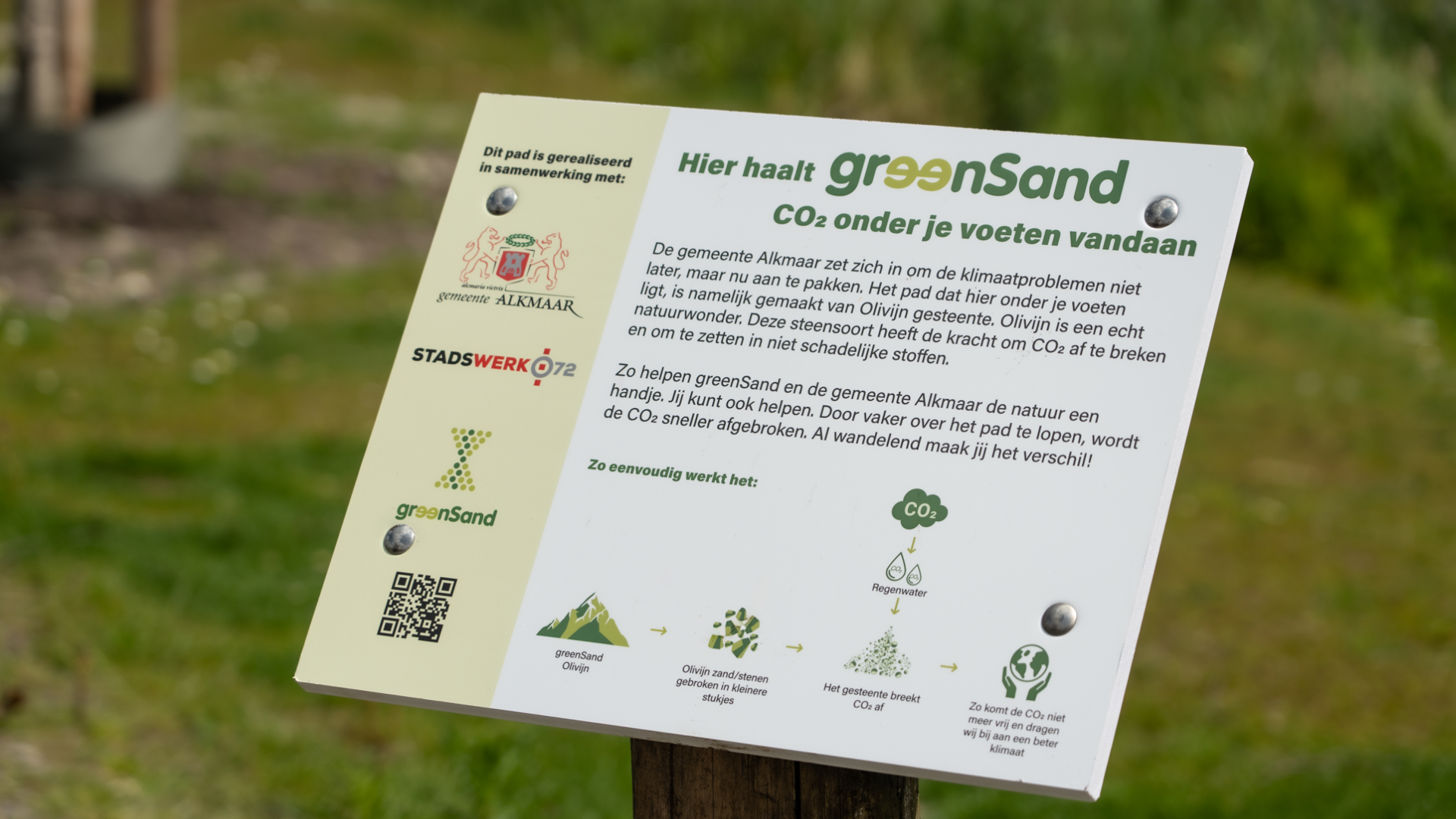 Informatiebord over greenSand in een park, met tekst over CO₂-reductie via olivijn gesteente en samenwerking met Alkmaar.