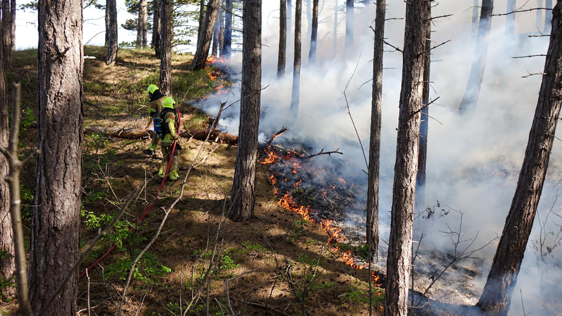 Brandweerlieden bestrijden een bosbrand, omgeven door rook en brandend gras.
